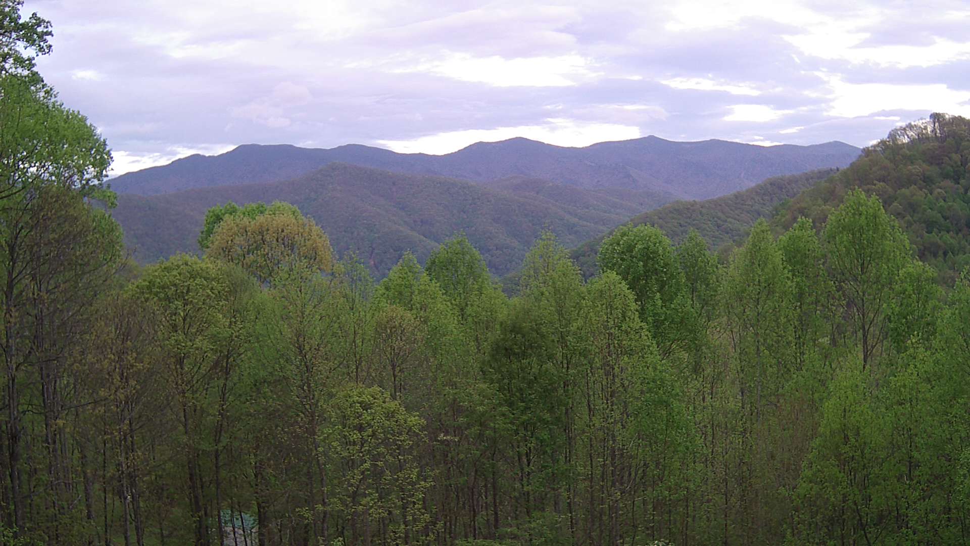 click for next image... slideshow image