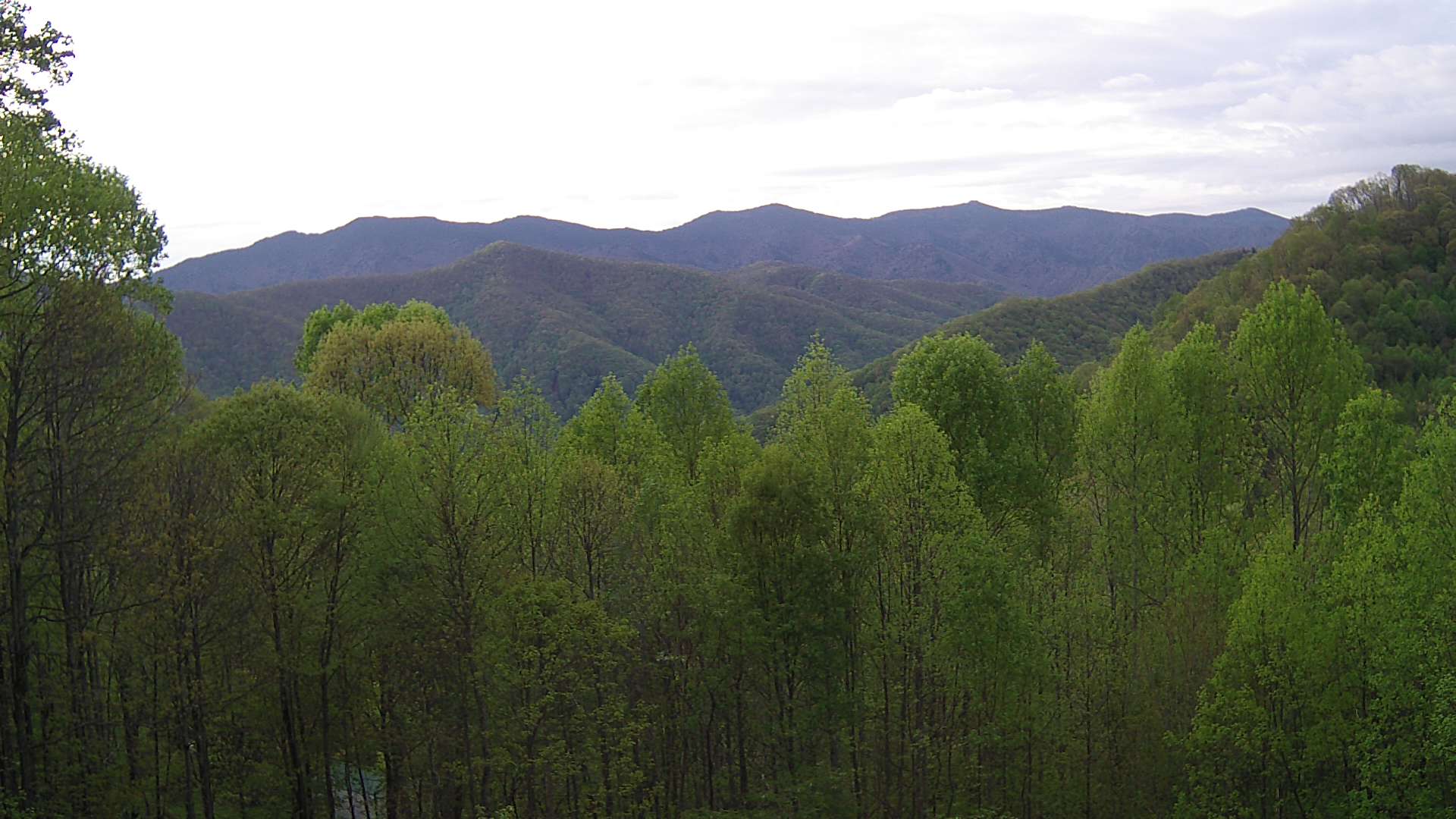 click for next image... slideshow image