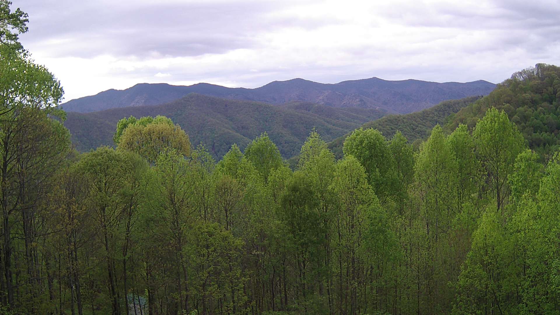 click for next image... slideshow image
