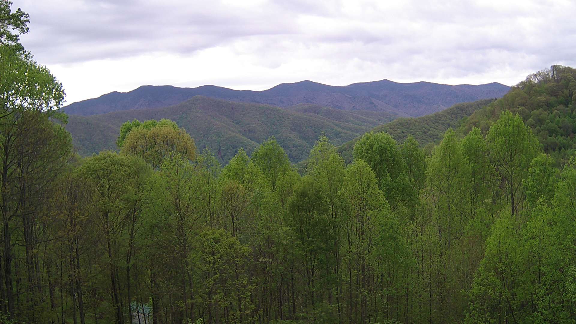 click for next image... slideshow image