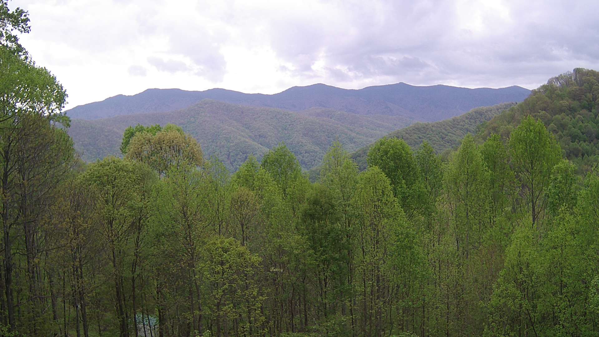 click for next image... slideshow image