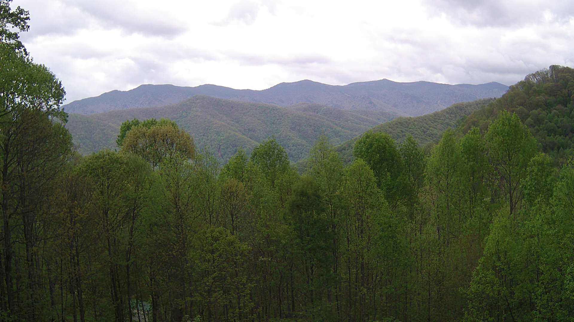 click for next image... slideshow image