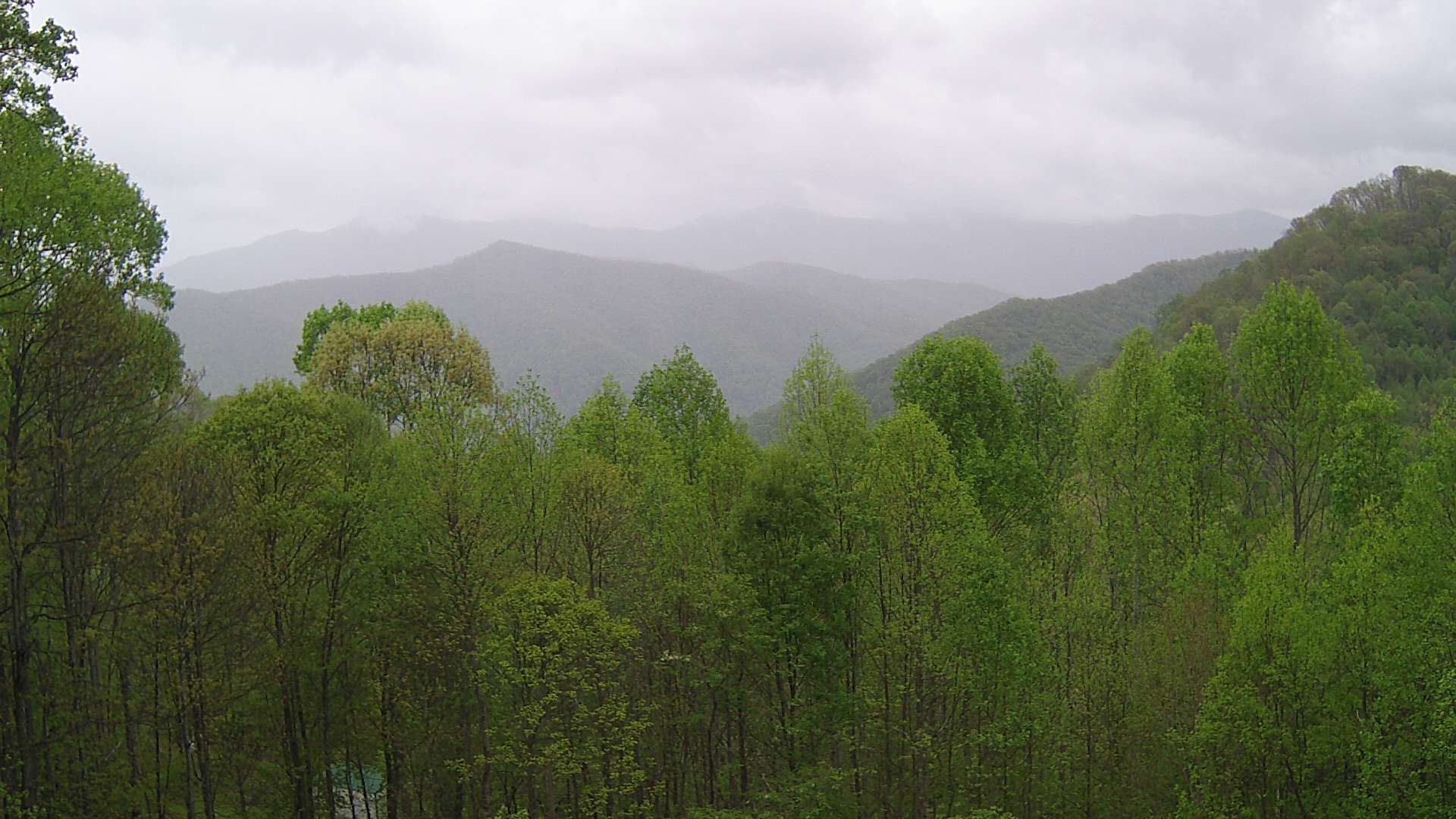 click for next image... slideshow image
