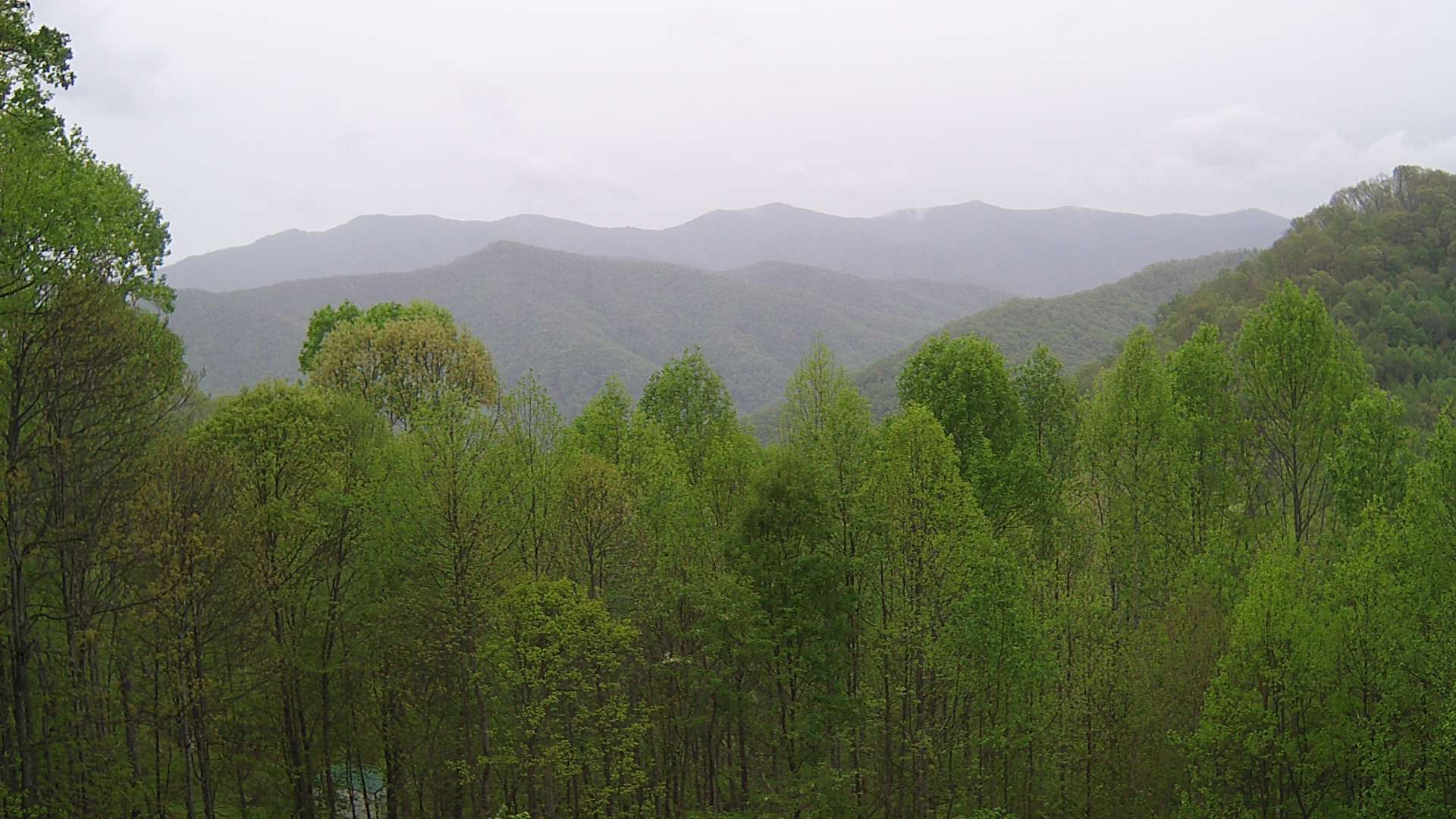 click for next image... slideshow image