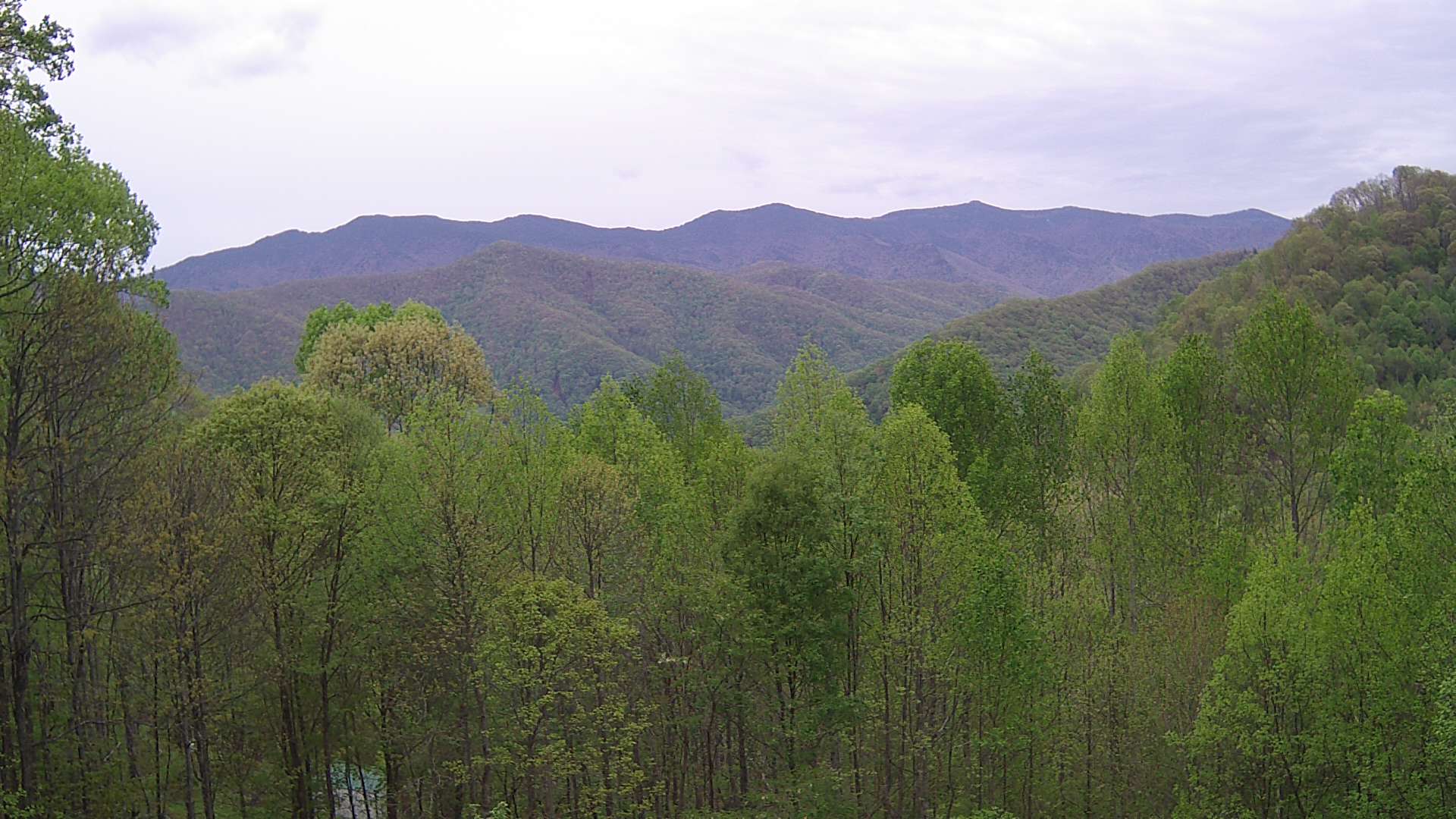 click for next image... slideshow image