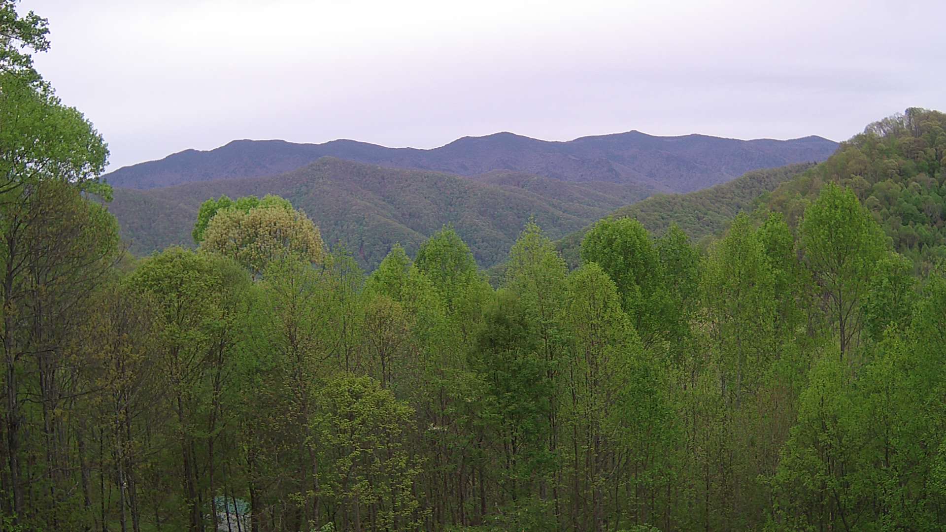 click for next image... slideshow image