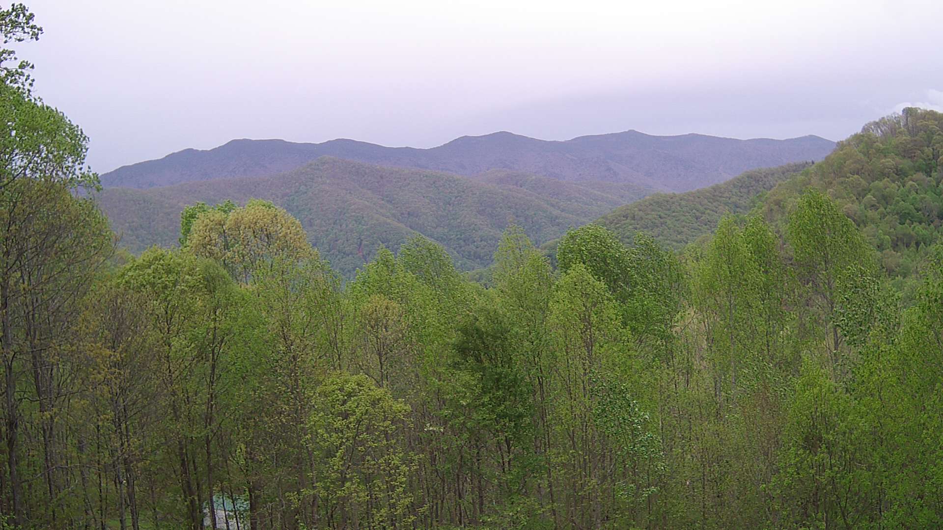 click for next image... slideshow image
