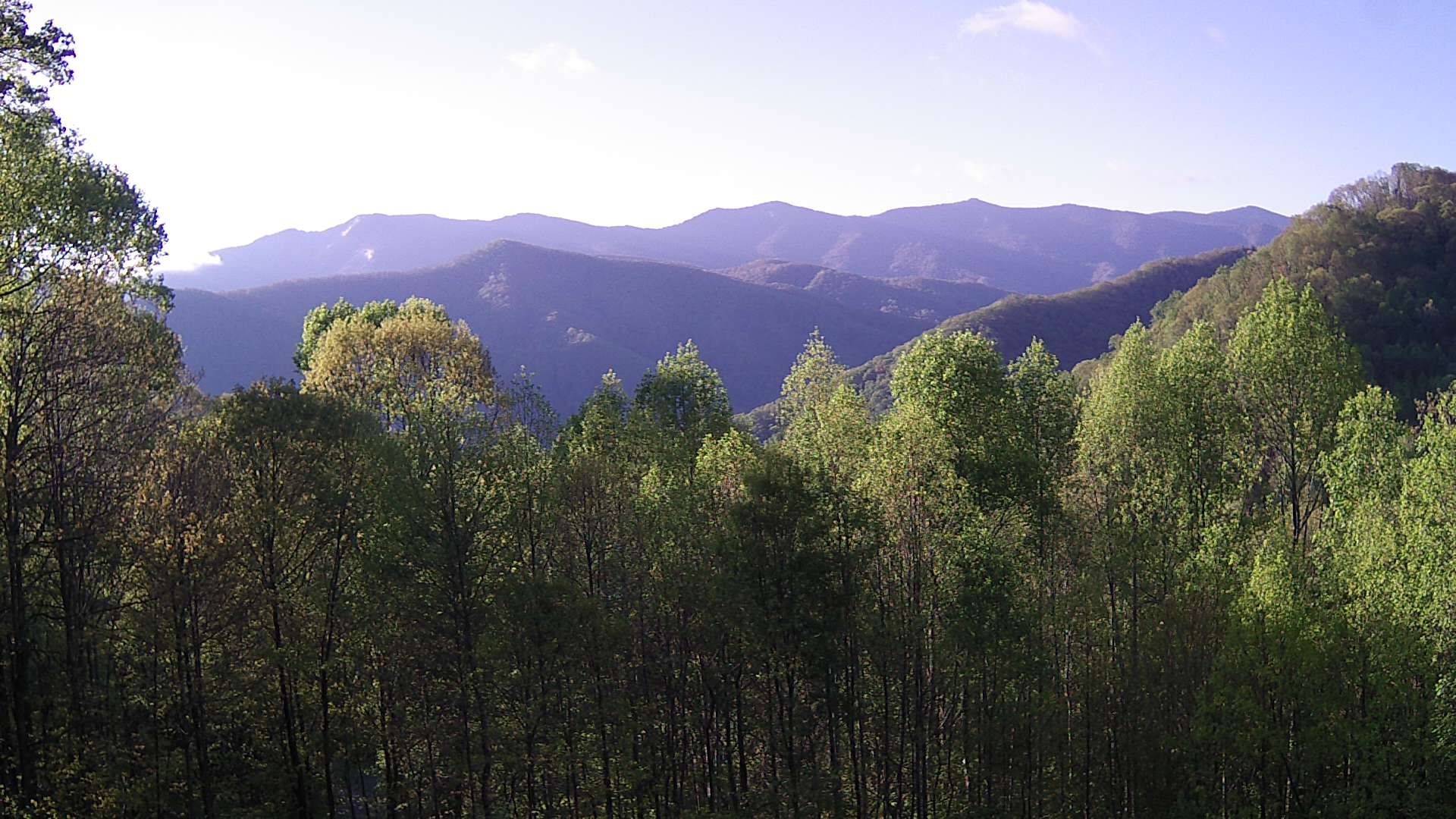 click for next image... slideshow image