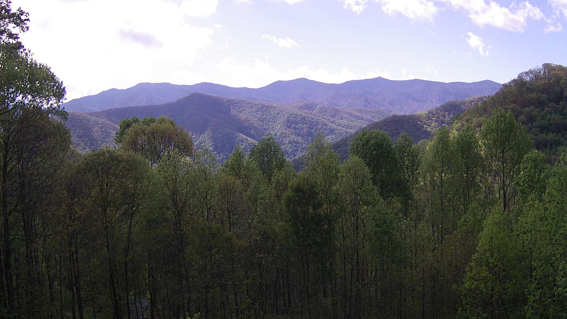 click for next image... slideshow image