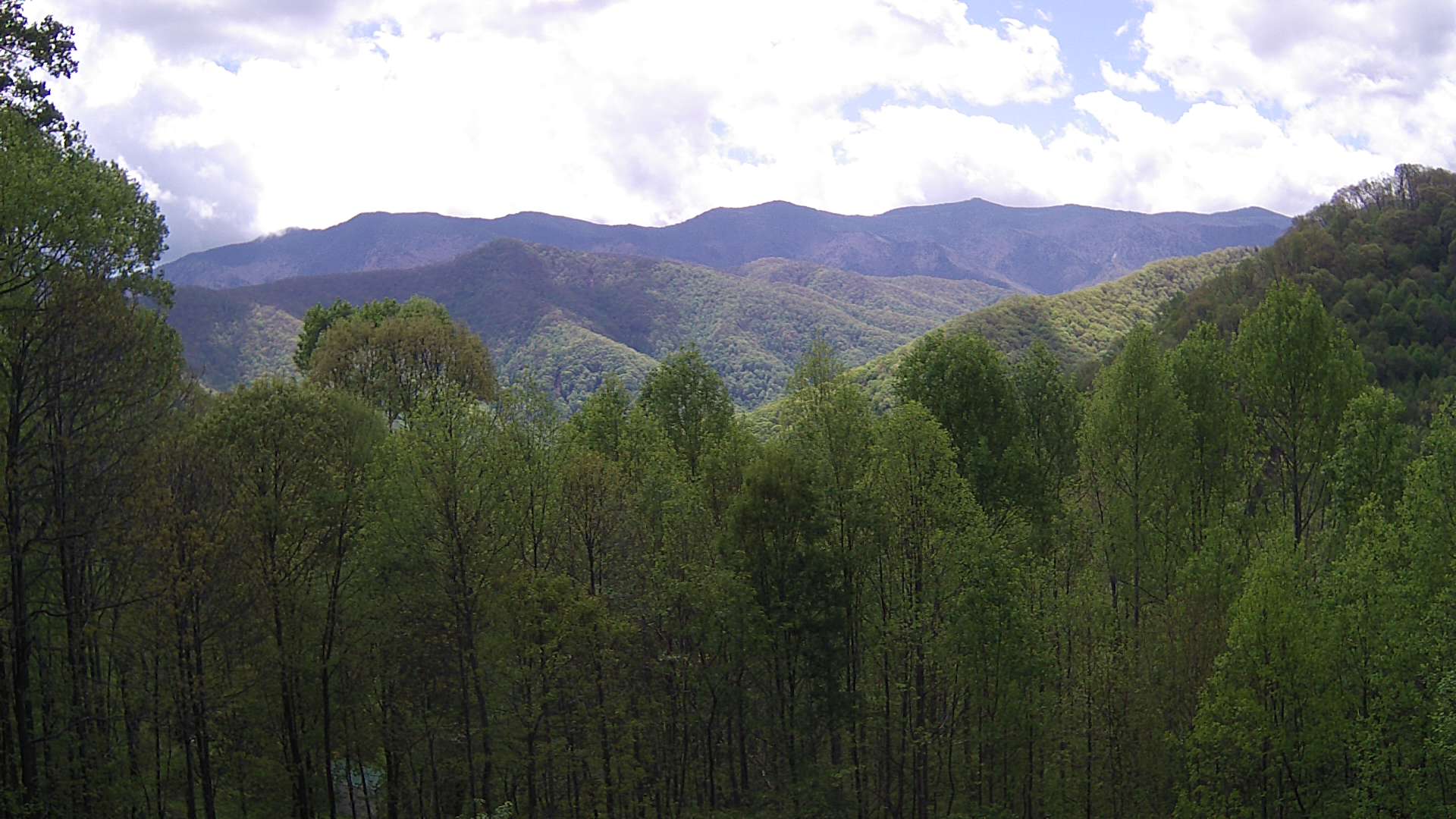 click for next image... slideshow image