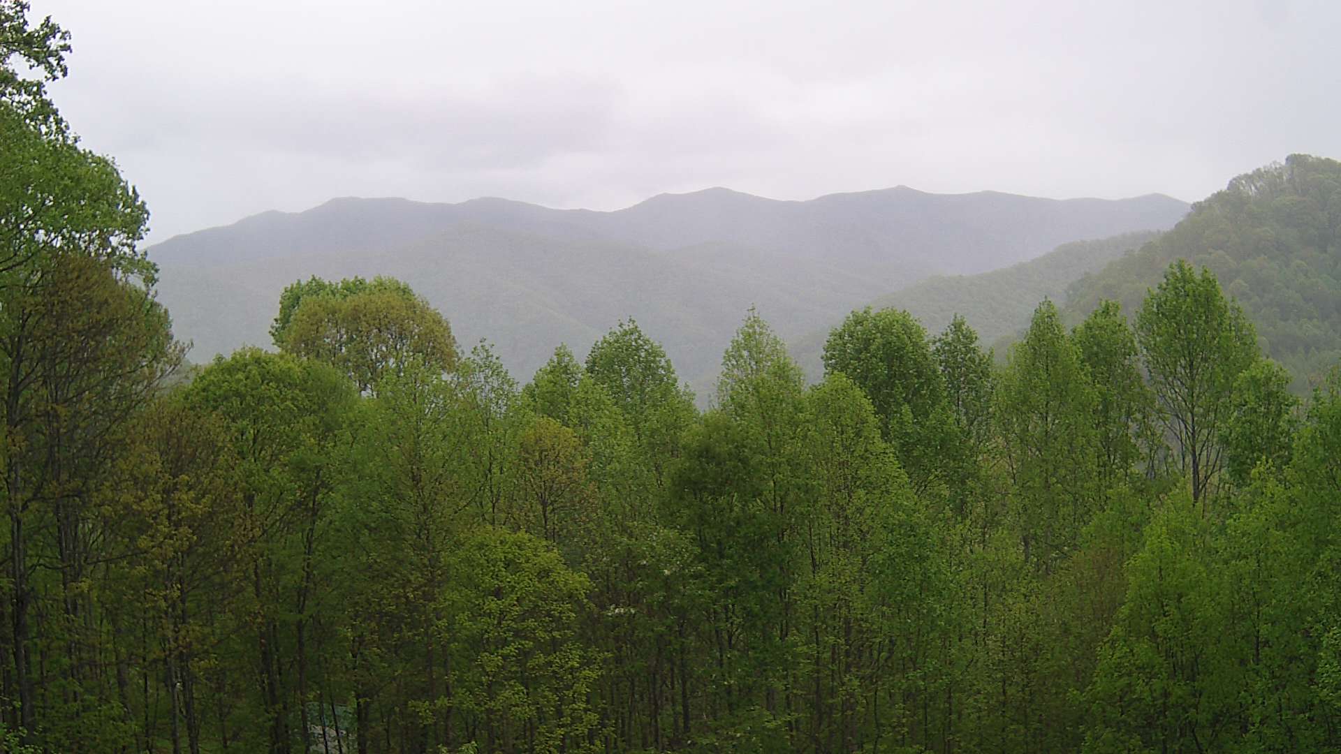 click for next image... slideshow image