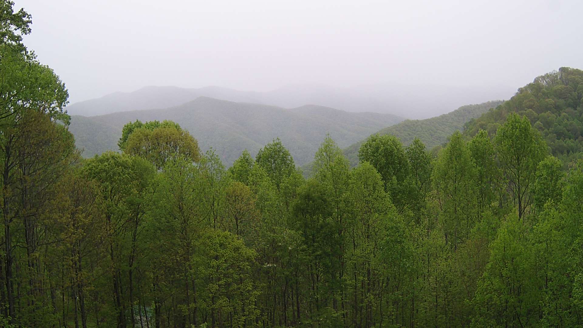 click for next image... slideshow image