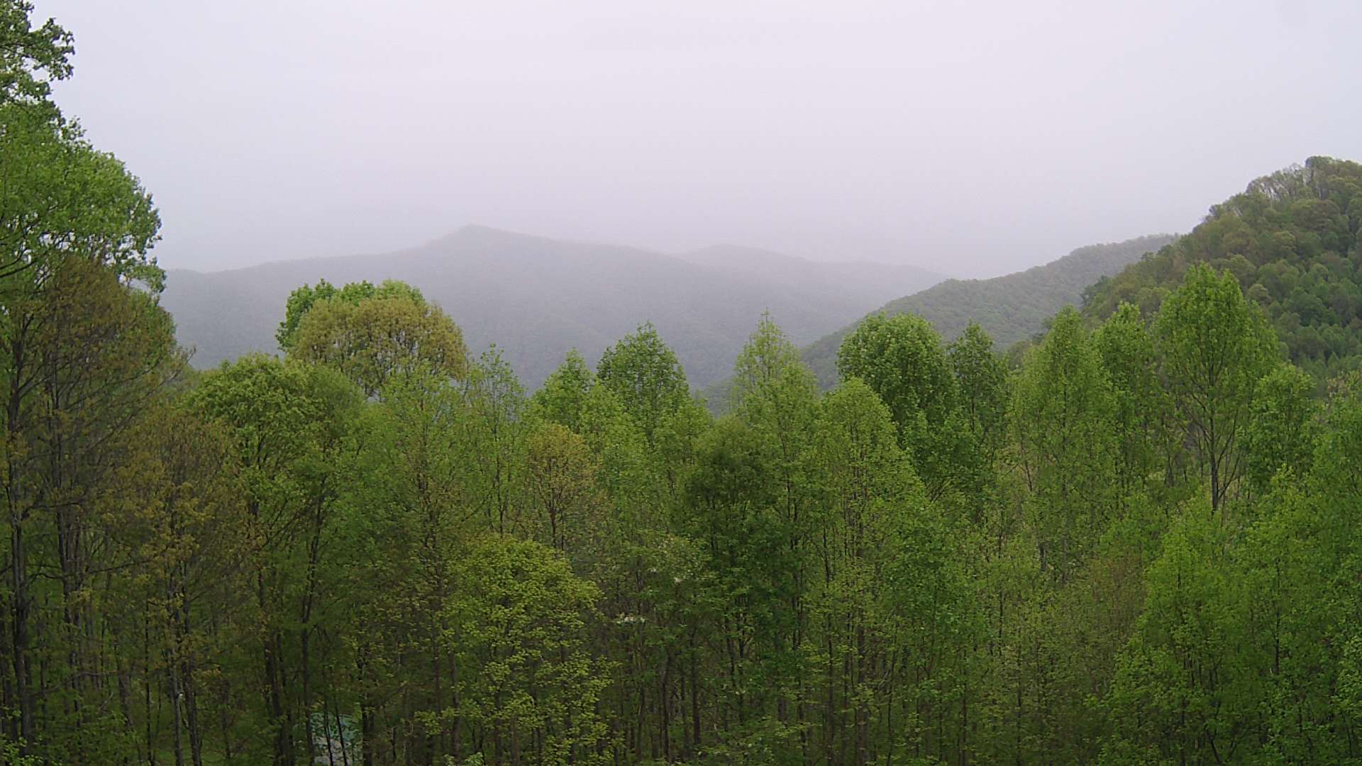 click for next image... slideshow image