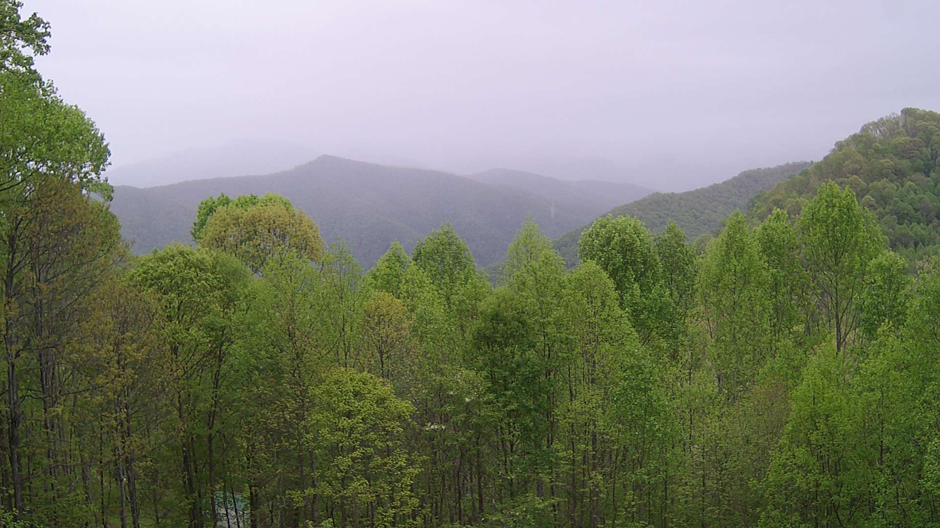 click for next image... slideshow image