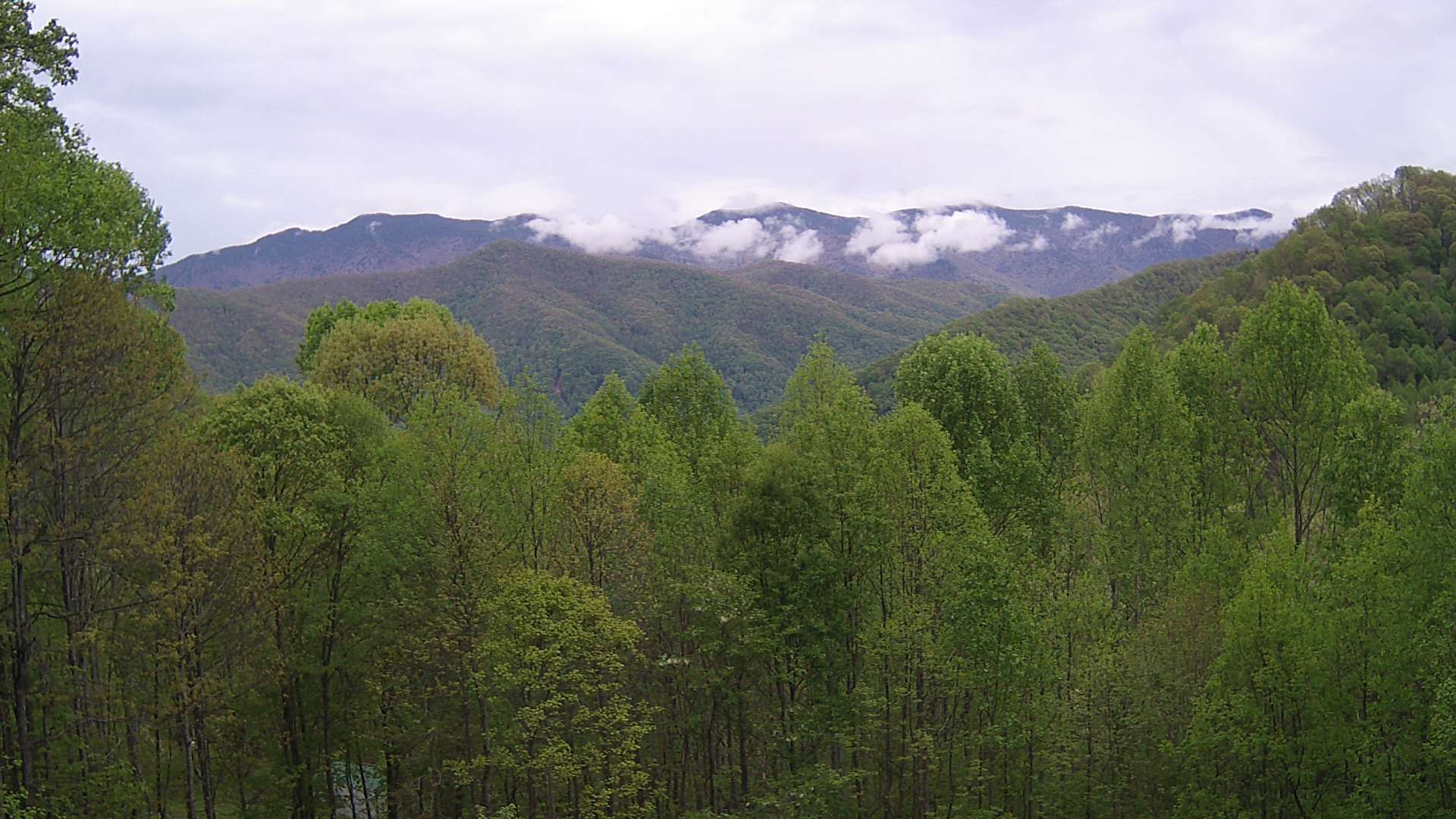 click for next image... slideshow image