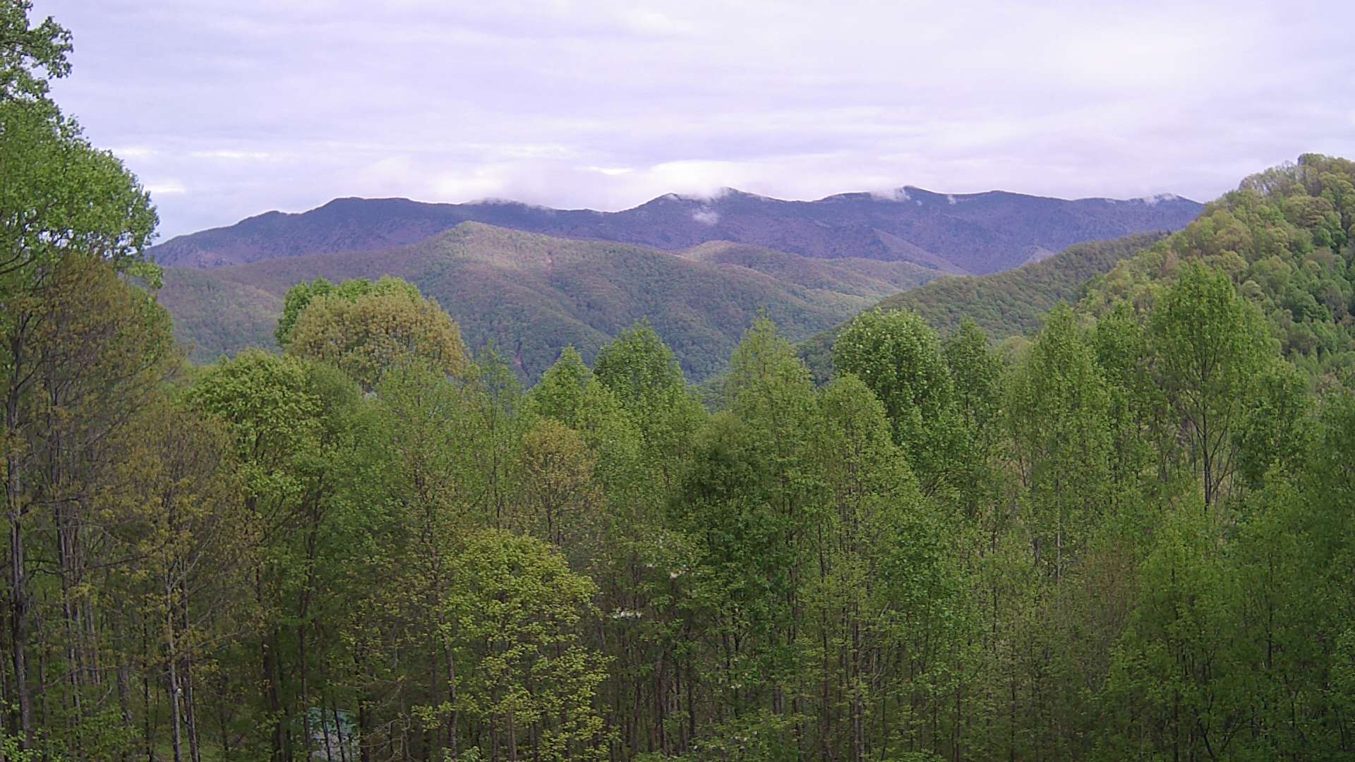 click for next image... slideshow image