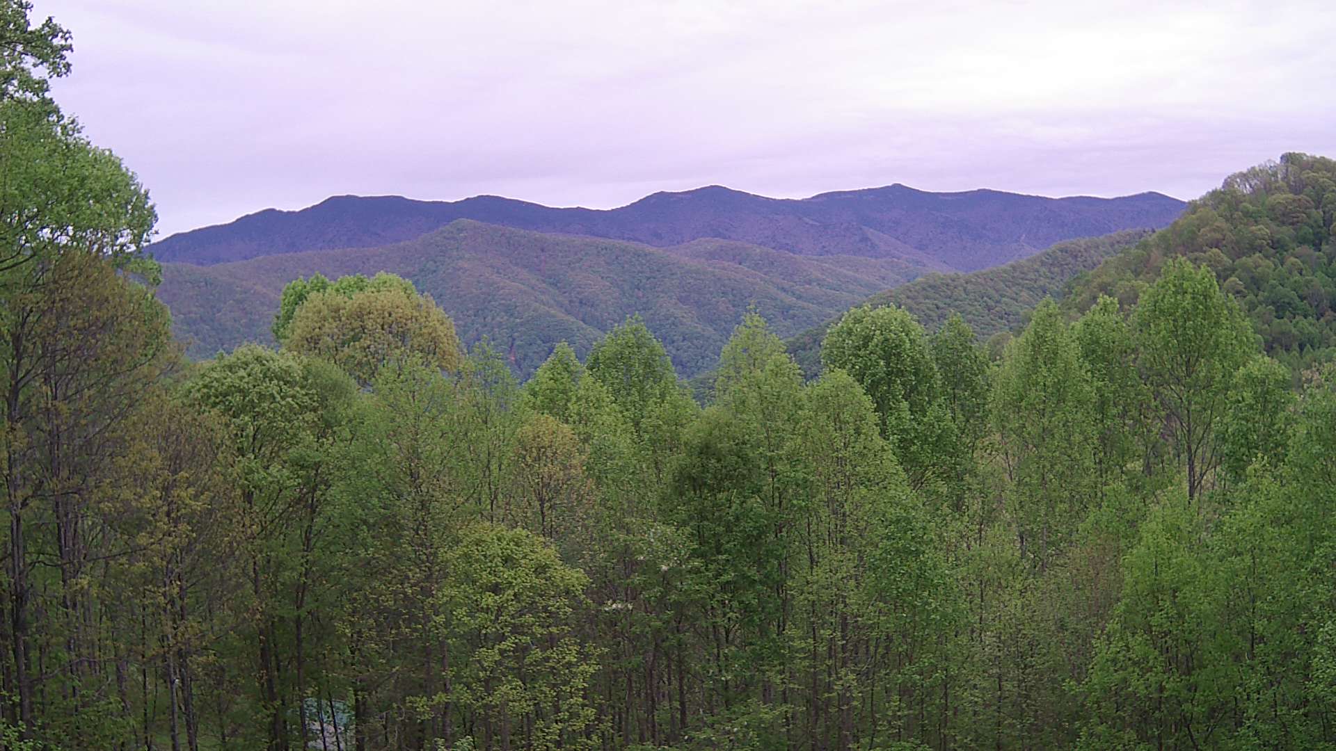 click for next image... slideshow image