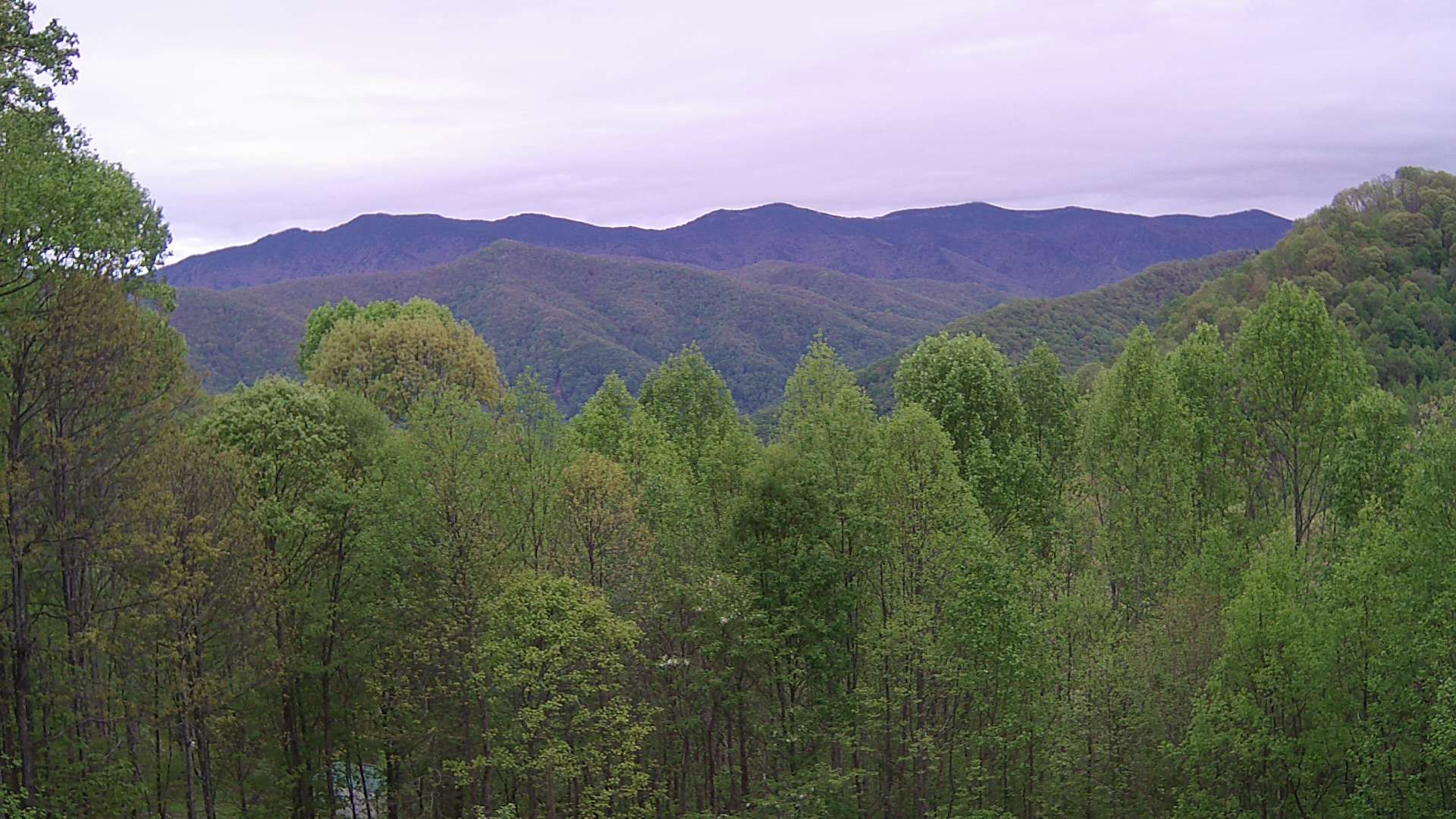 click for next image... slideshow image