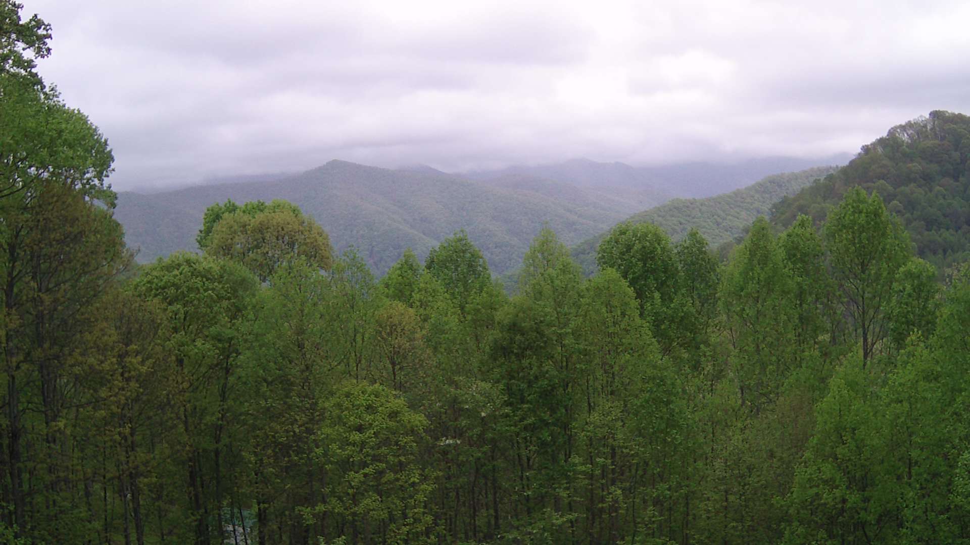 click for next image... slideshow image