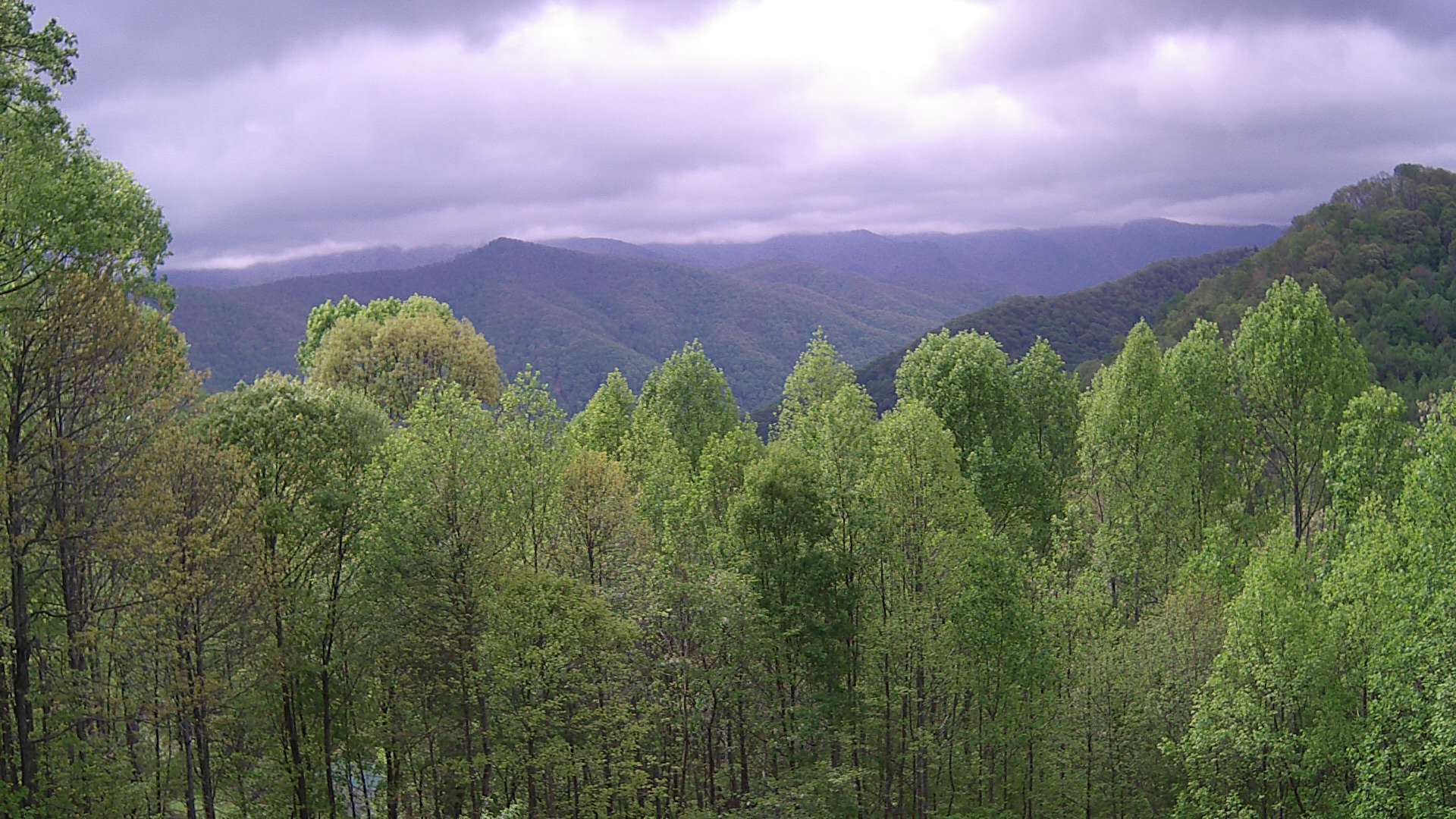 click for next image... slideshow image