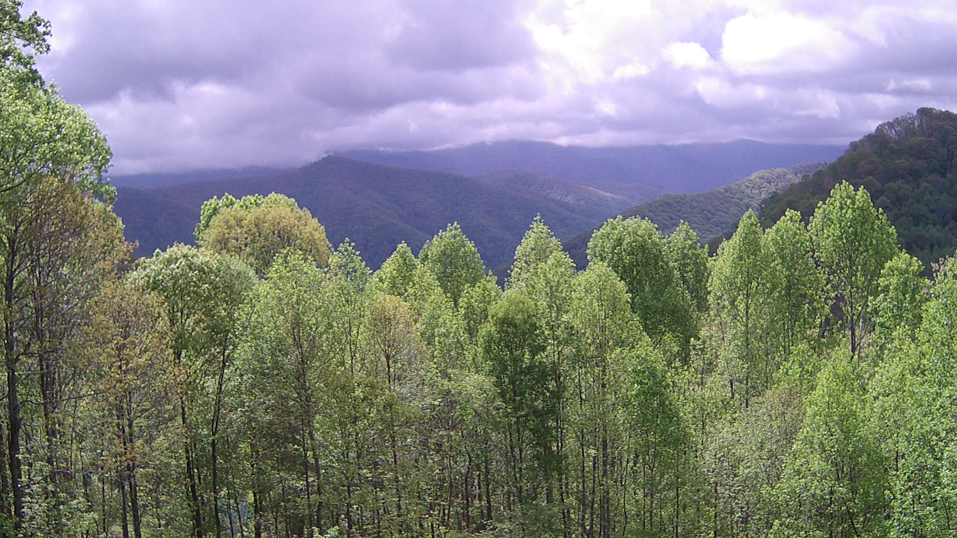 click for next image... slideshow image