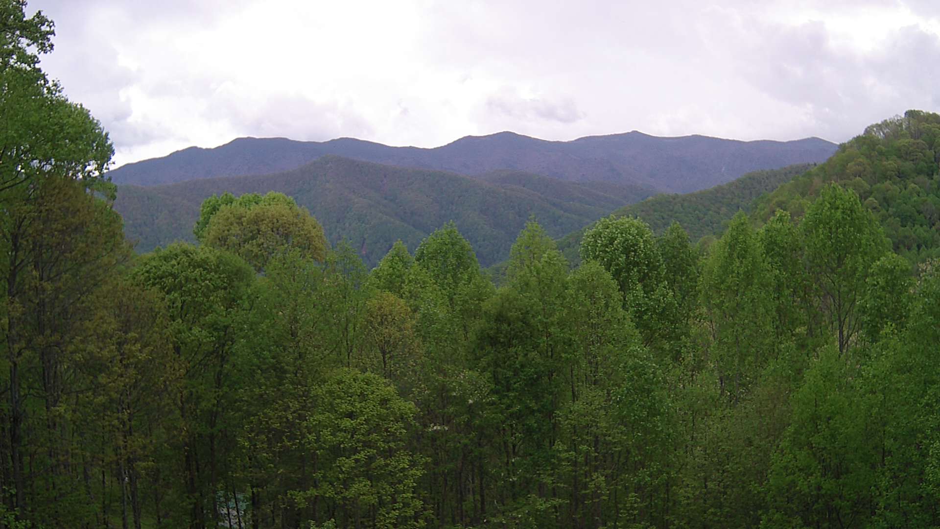 click for next image... slideshow image