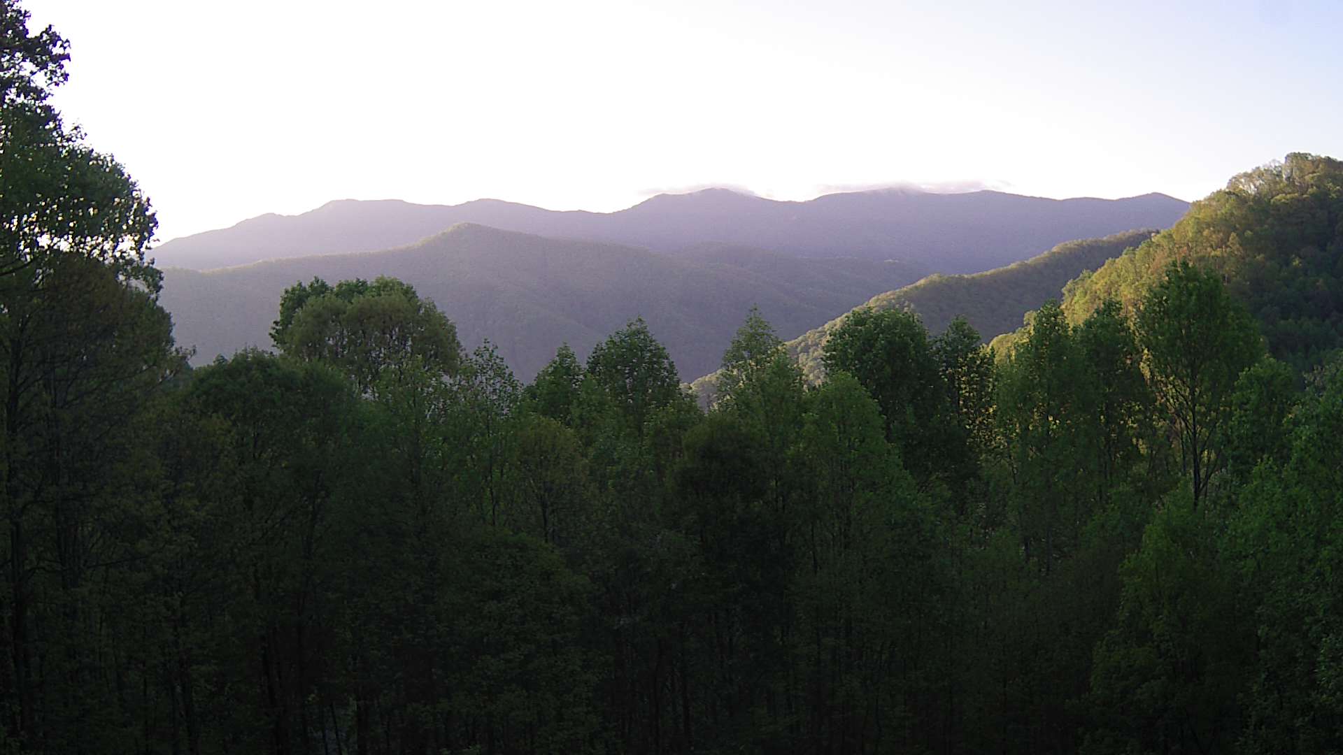 click for next image... slideshow image