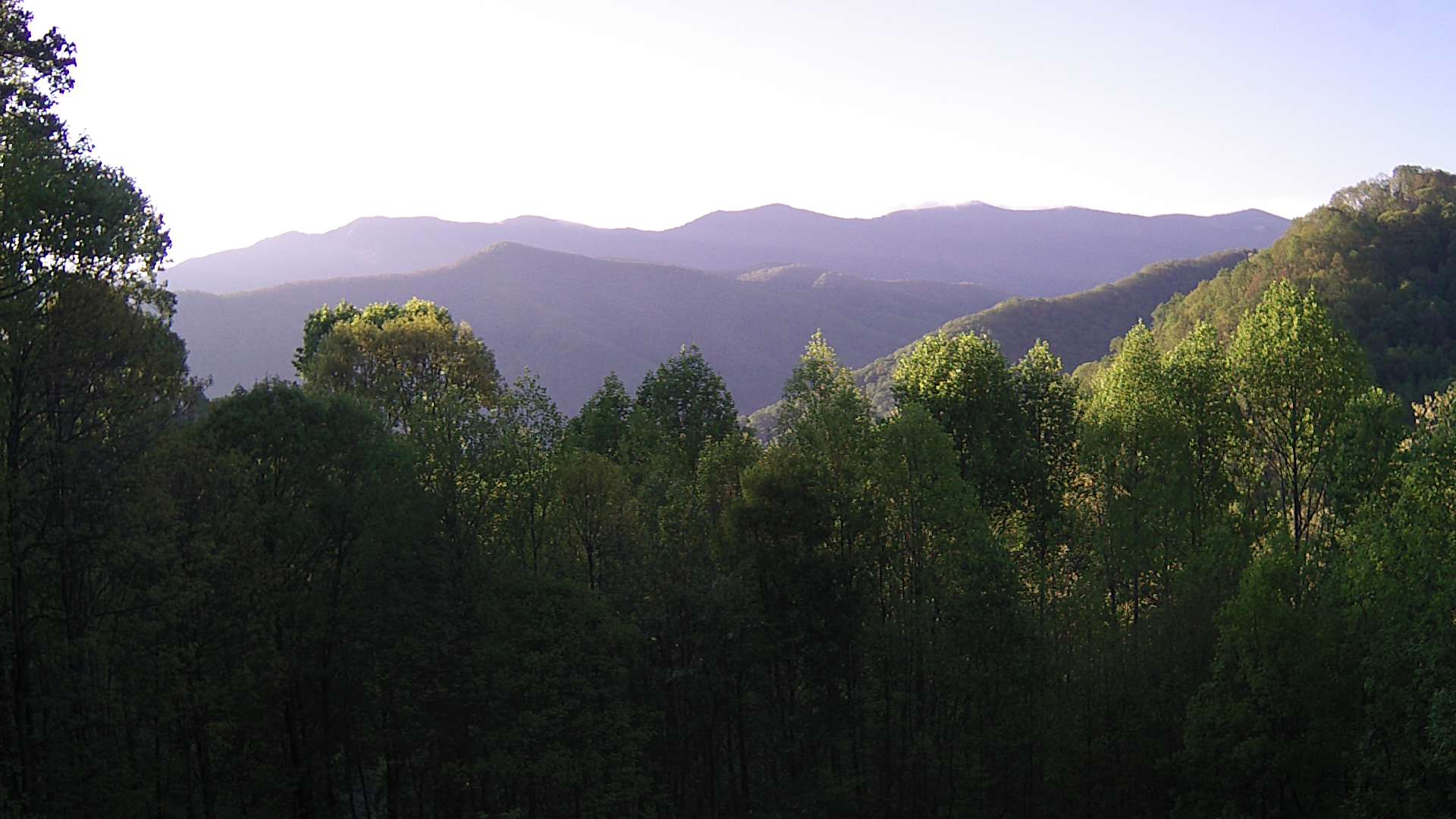 click for next image... slideshow image
