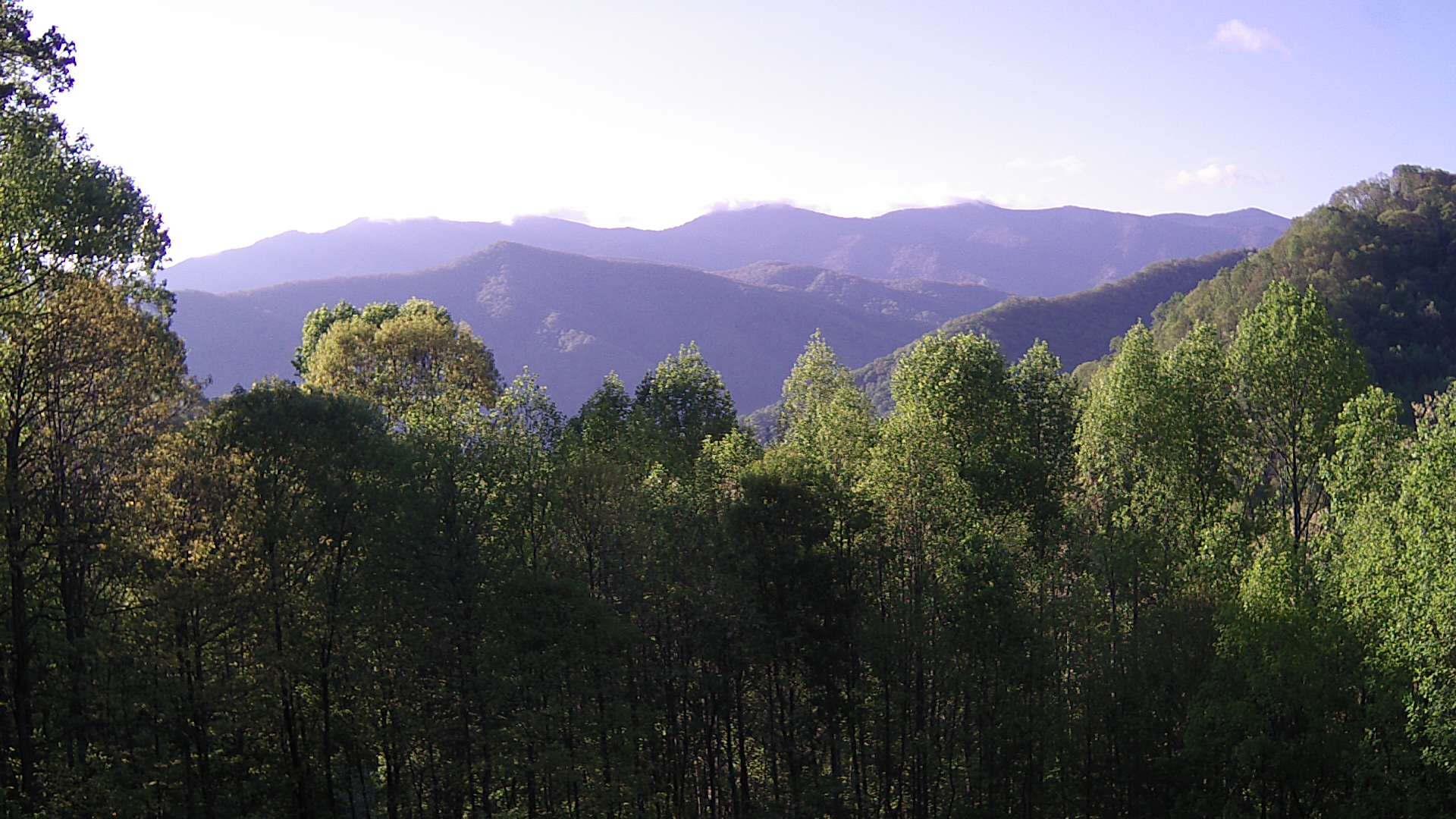 click for next image... slideshow image