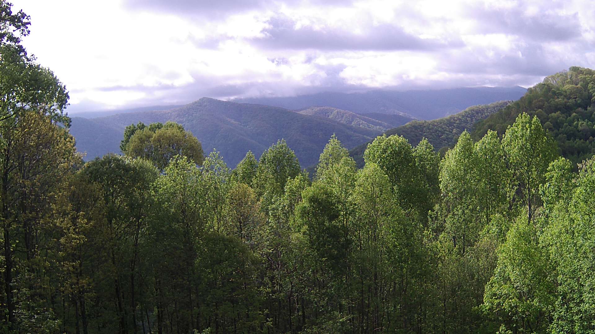 click for next image... slideshow image