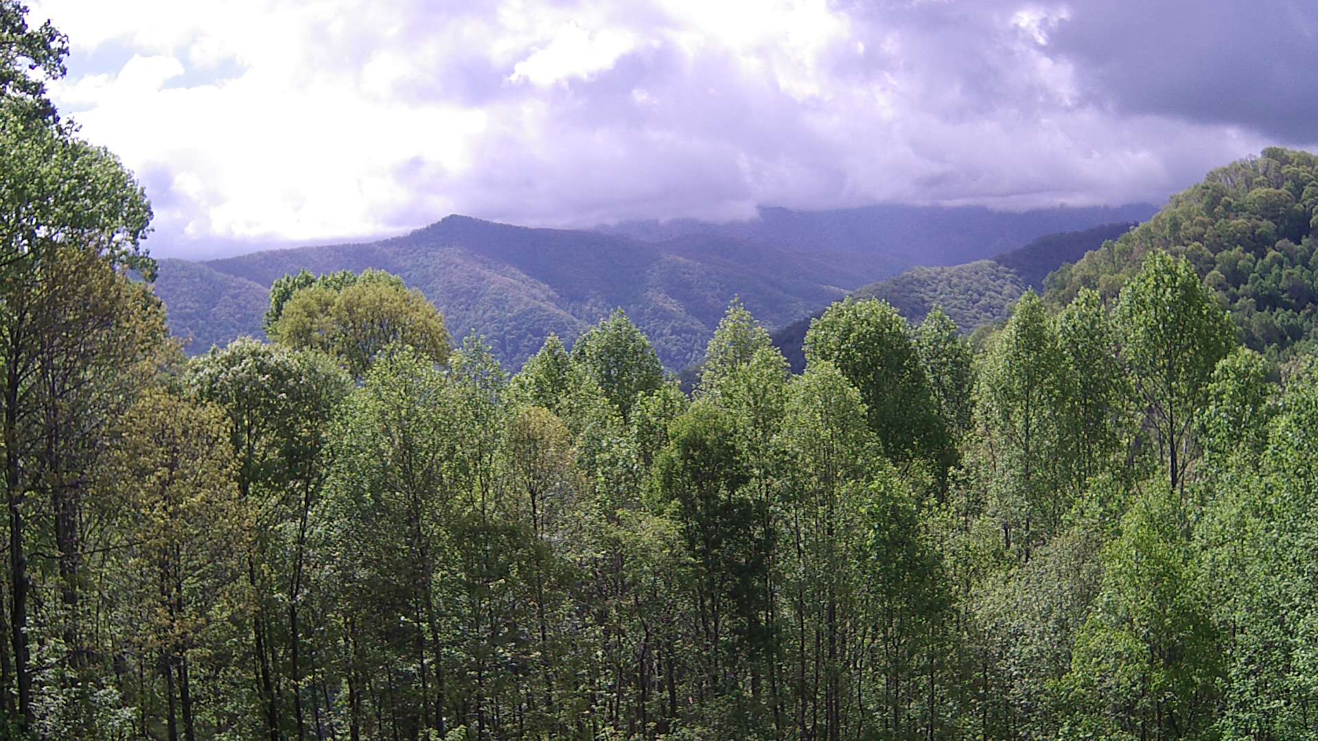click for next image... slideshow image