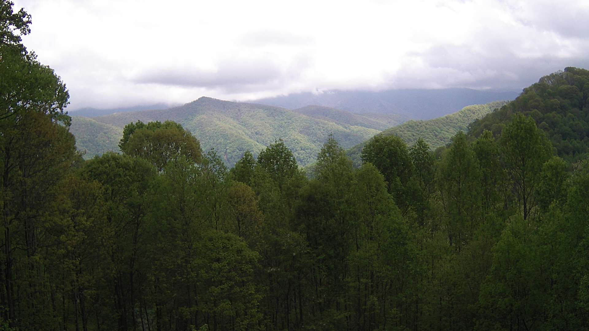 click for next image... slideshow image