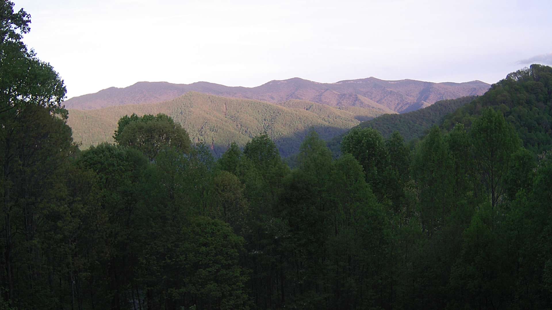 click for next image... slideshow image