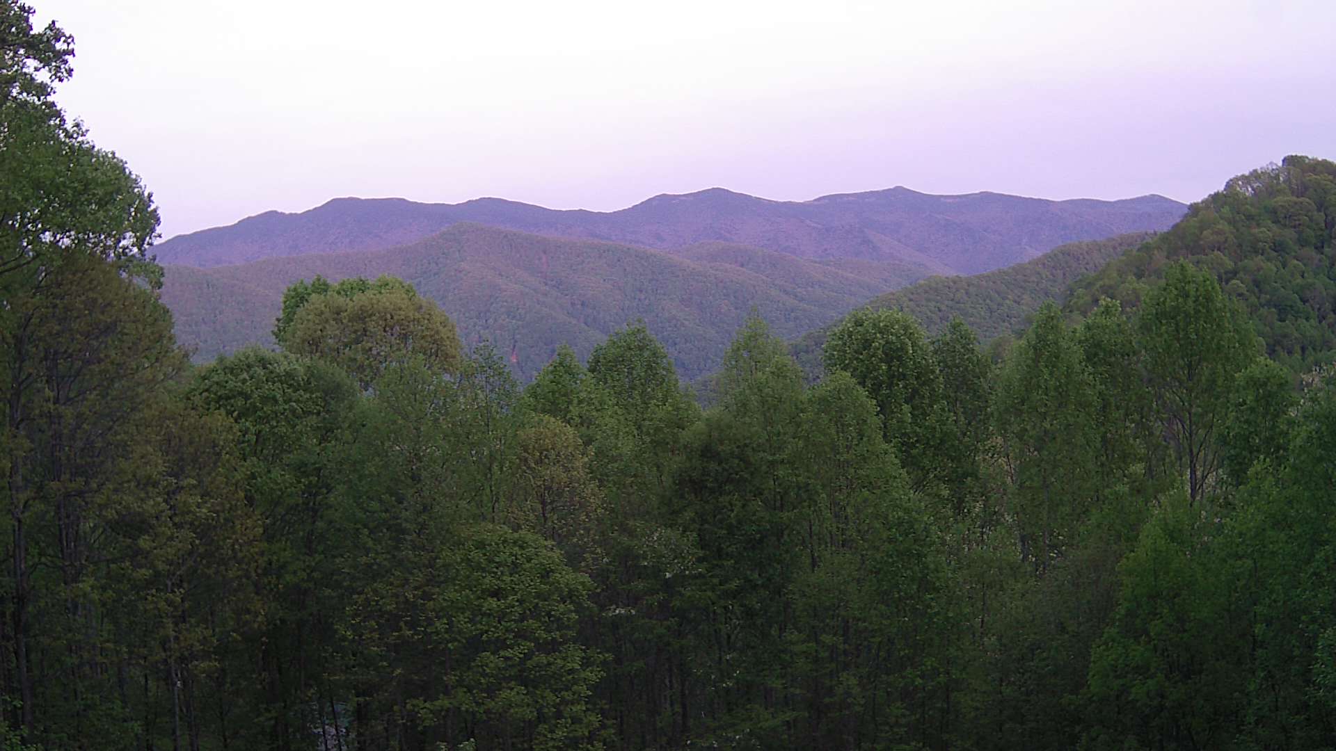 click for next image... slideshow image