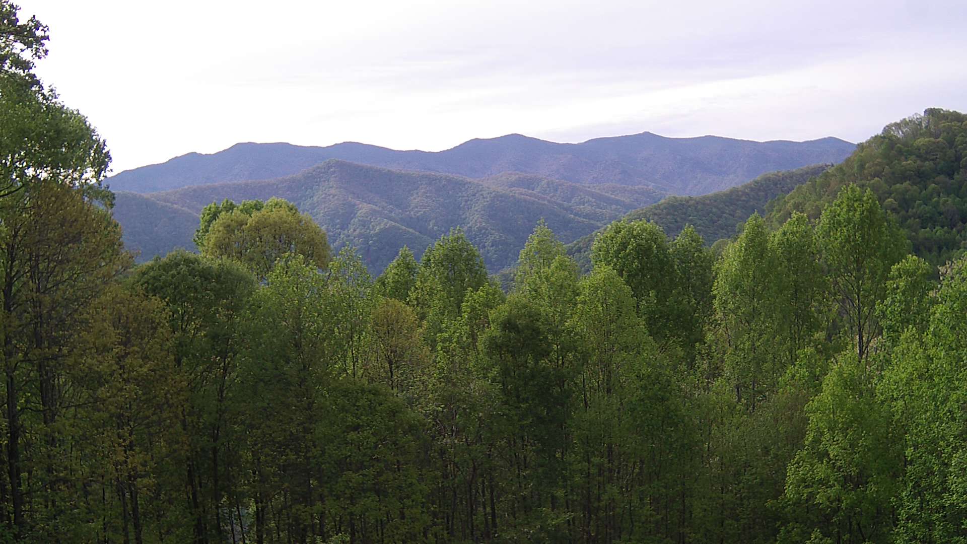click for next image... slideshow image