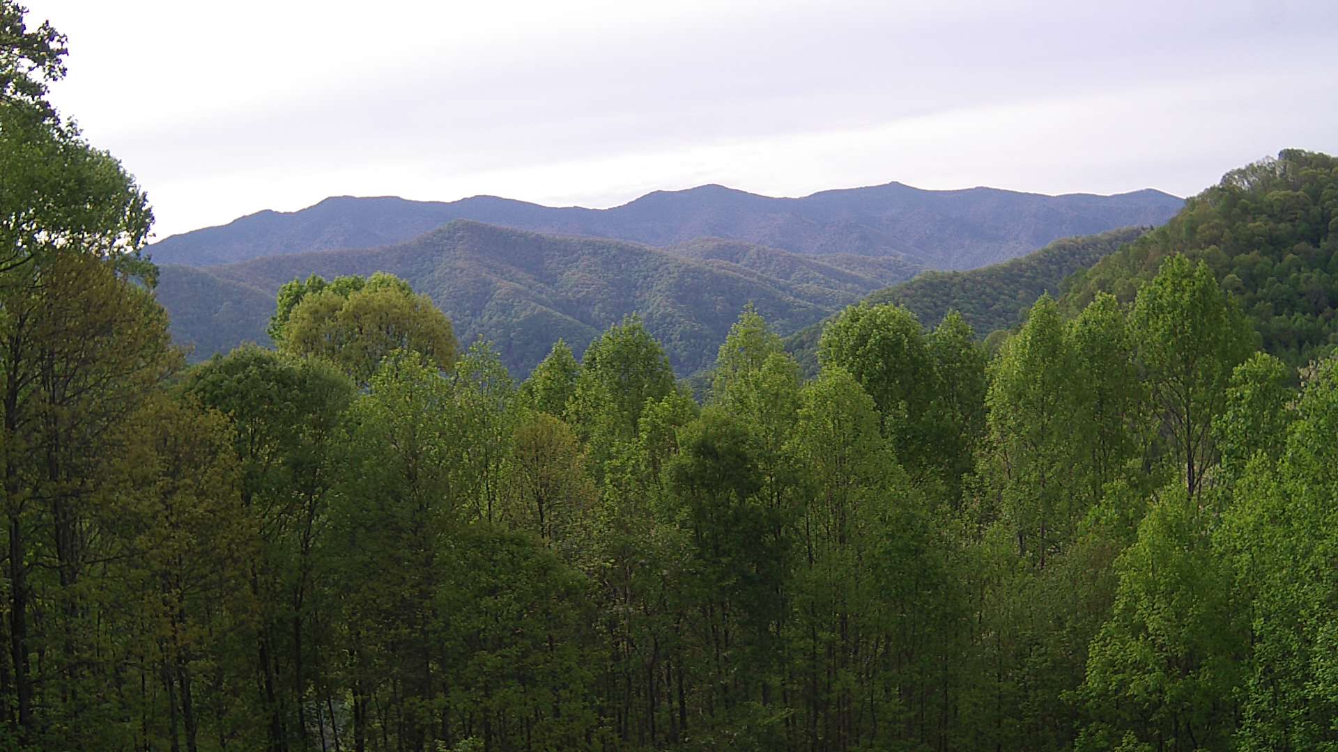 click for next image... slideshow image