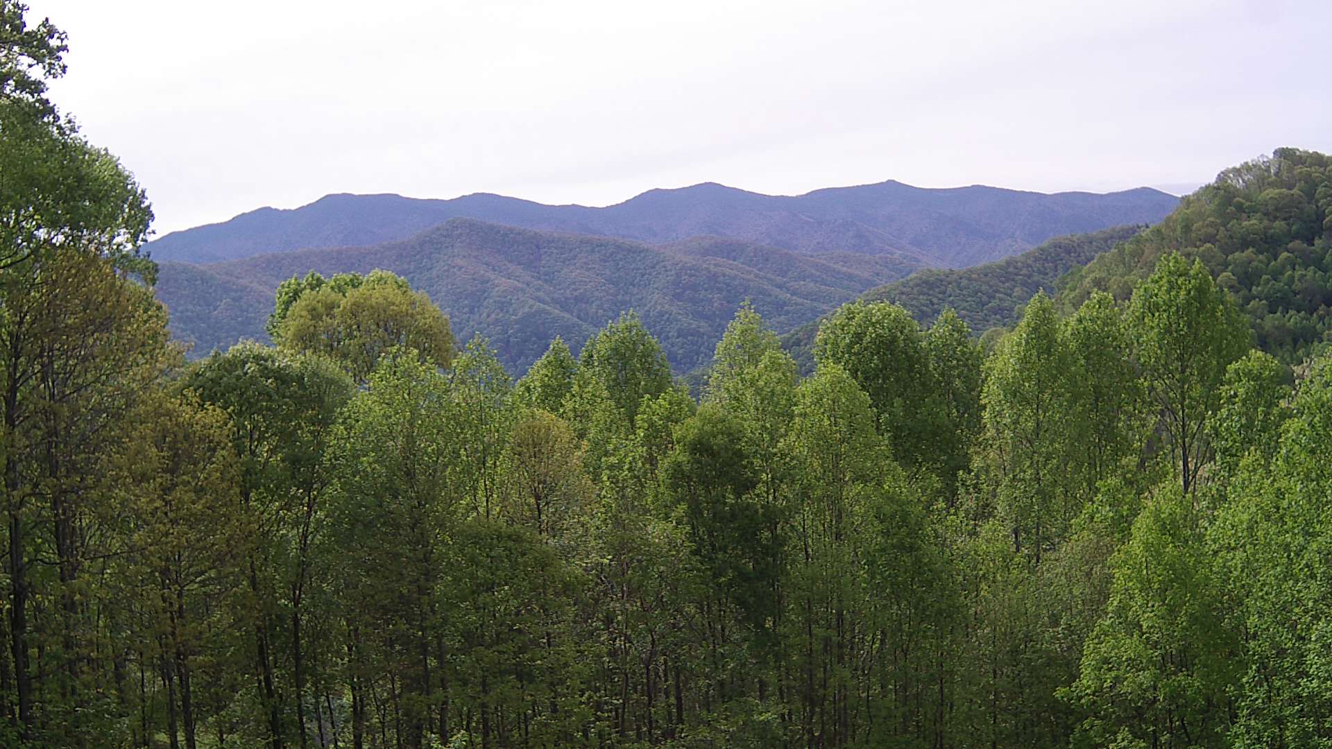 click for next image... slideshow image
