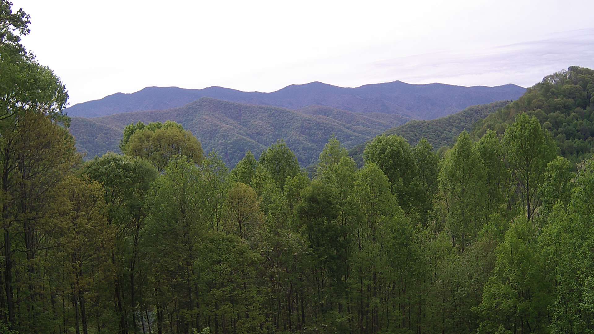 click for next image... slideshow image