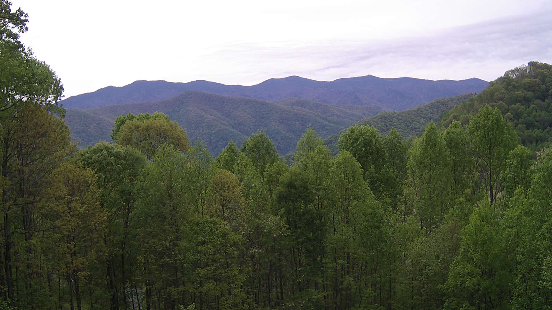 click for next image... slideshow image