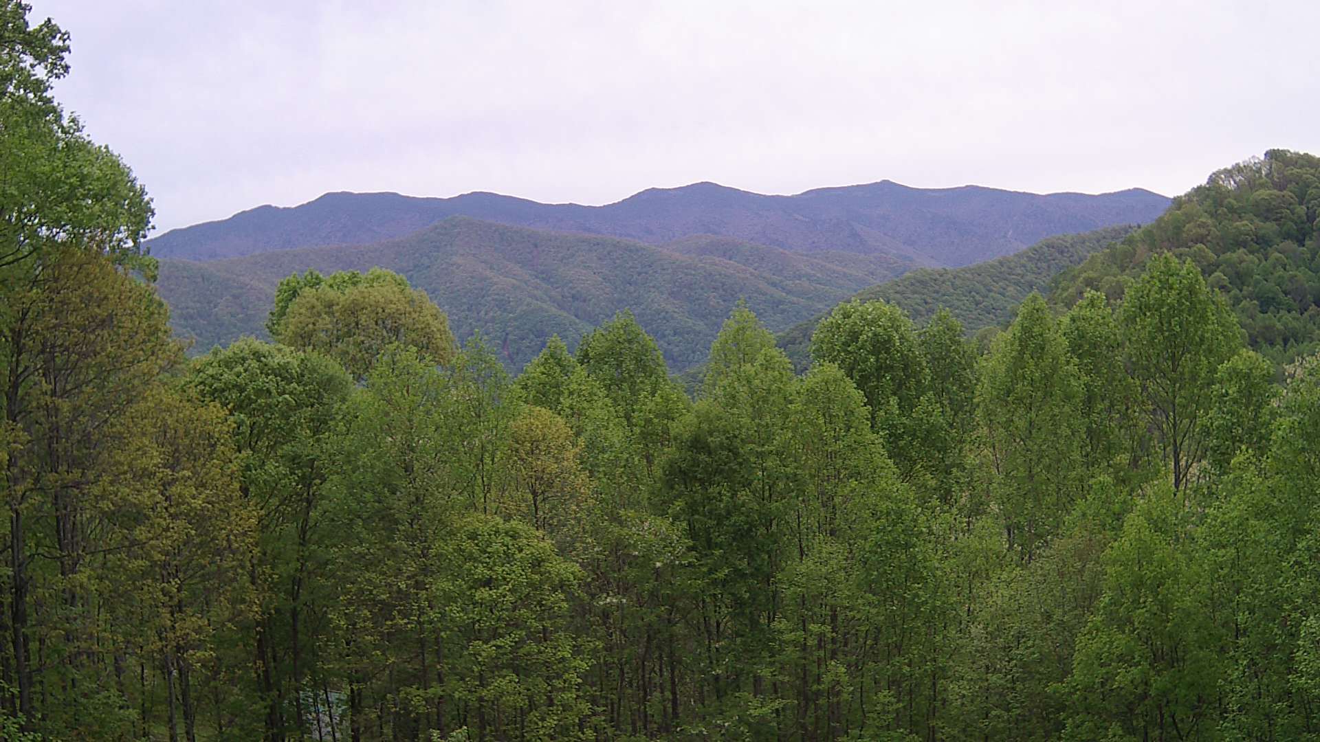 click for next image... slideshow image