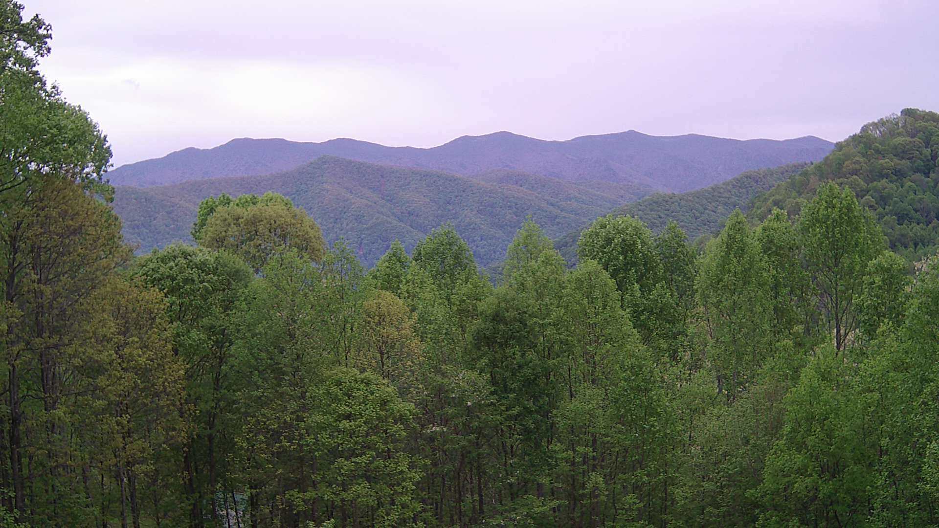 click for next image... slideshow image