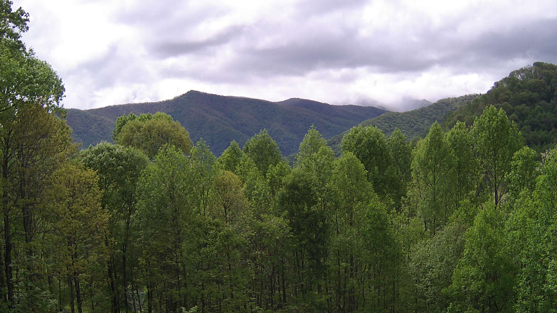 click for next image... slideshow image