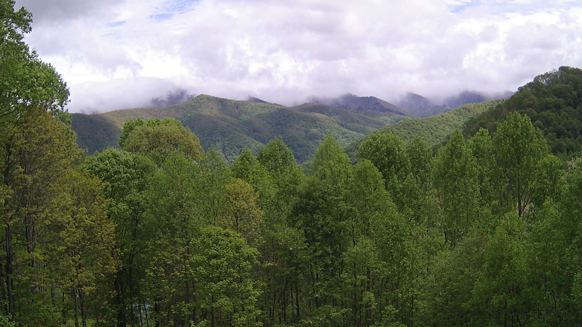 click for next image... slideshow image