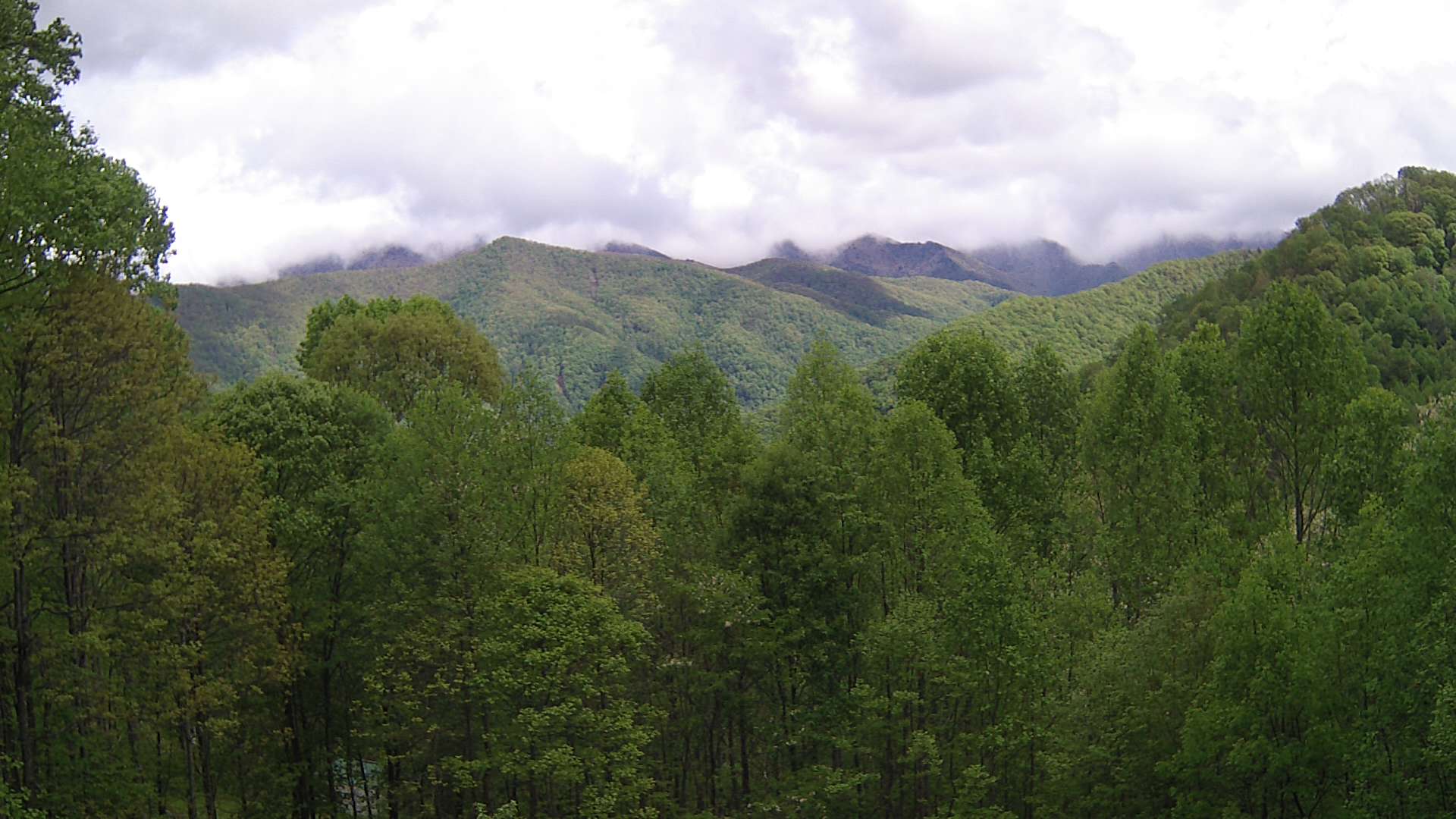 click for next image... slideshow image