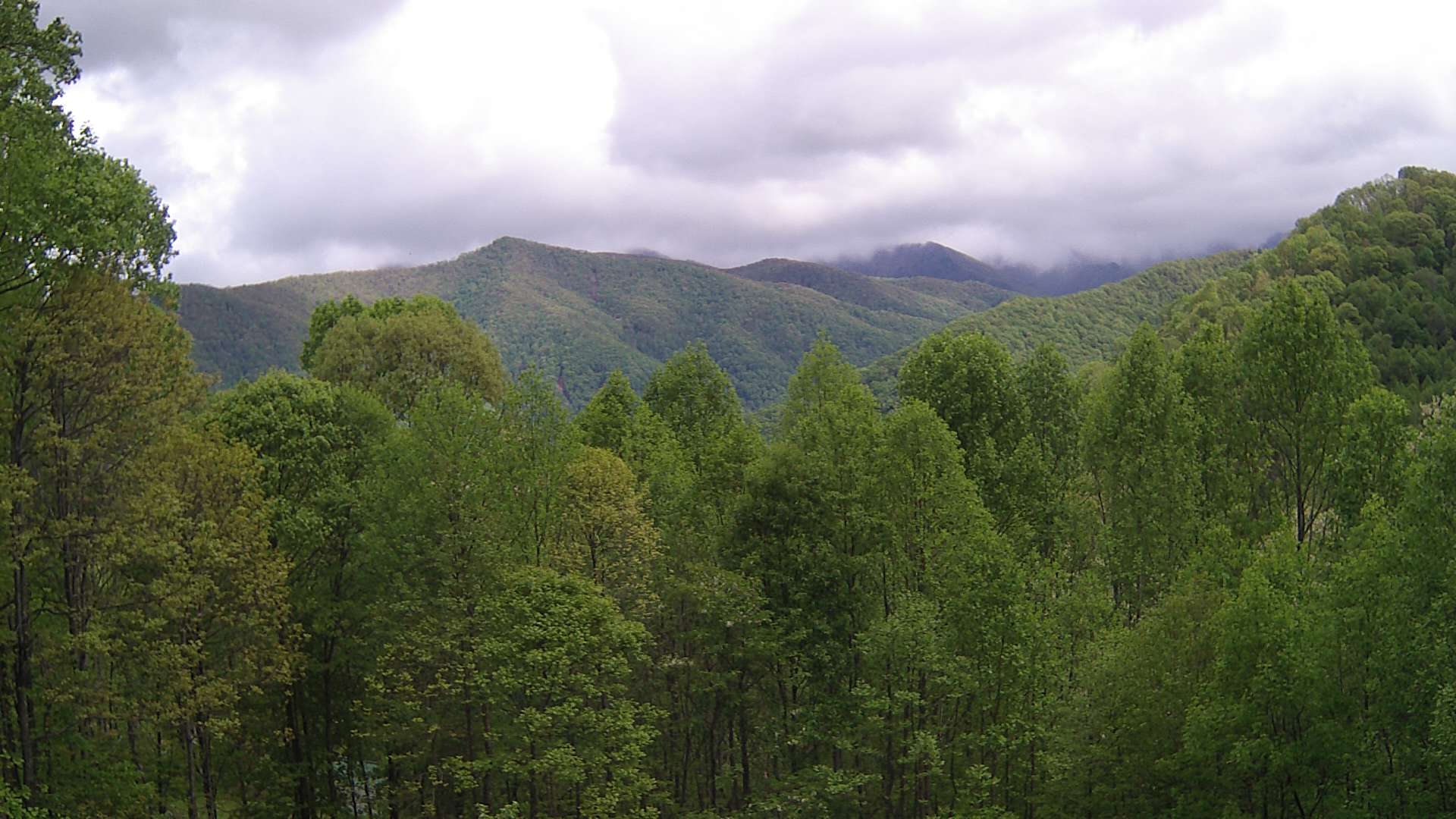 click for next image... slideshow image