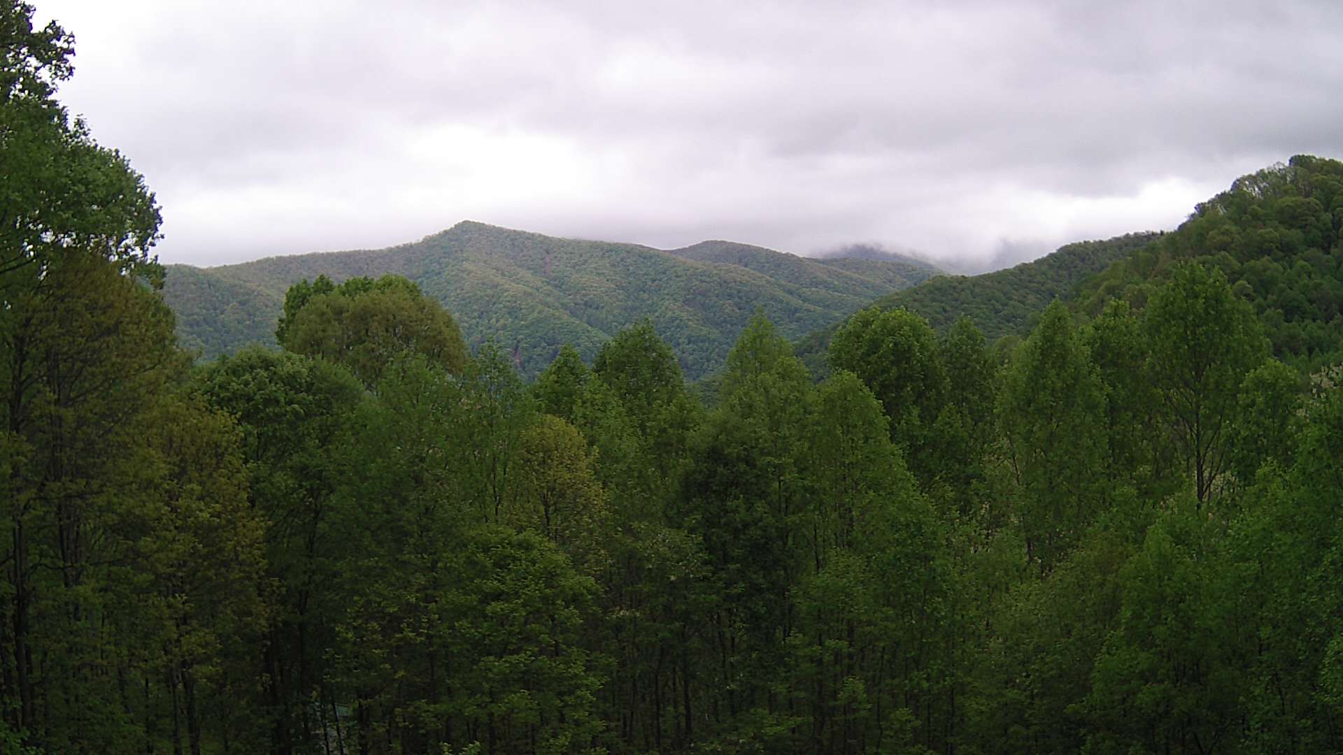 click for next image... slideshow image