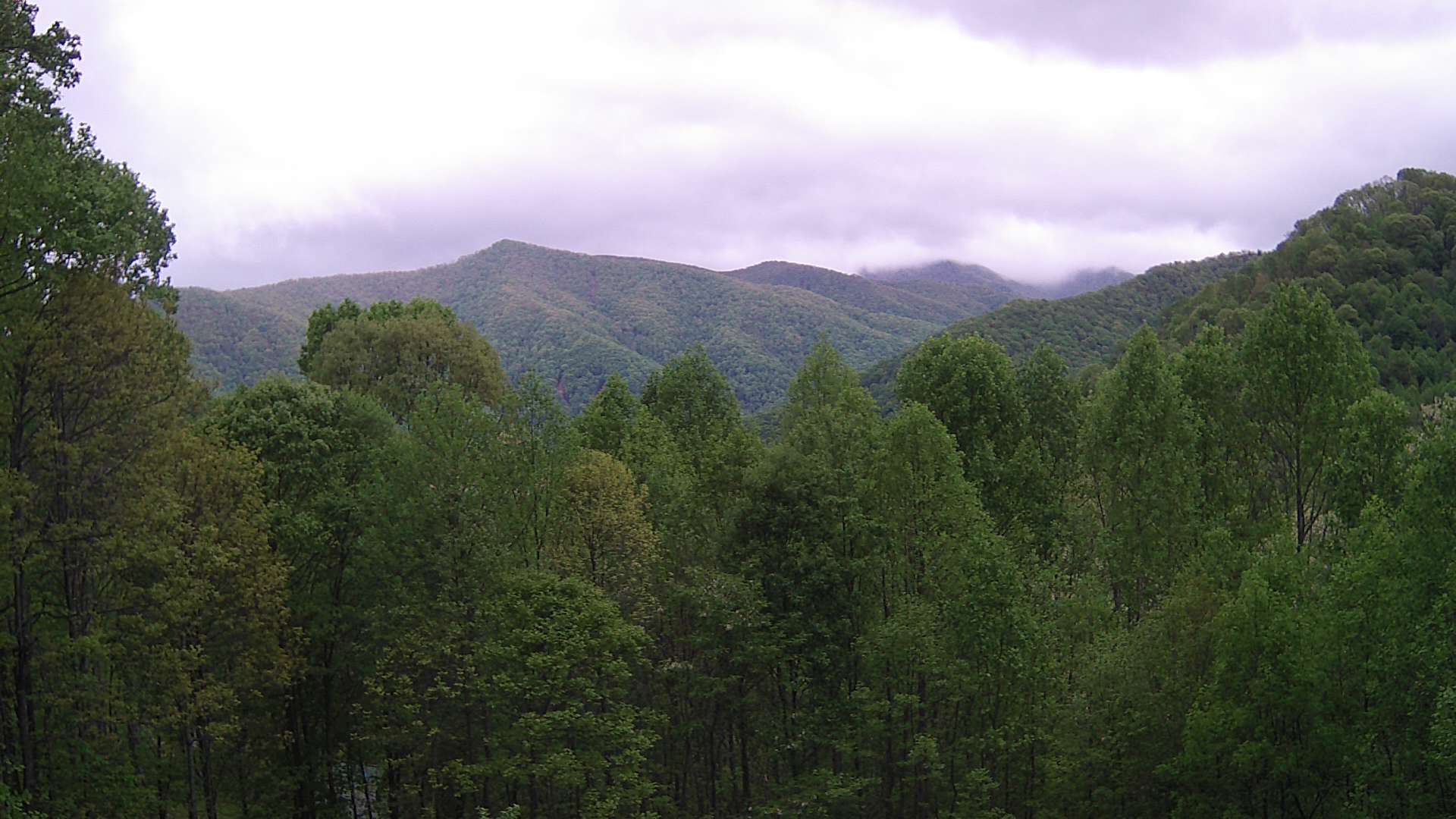 click for next image... slideshow image