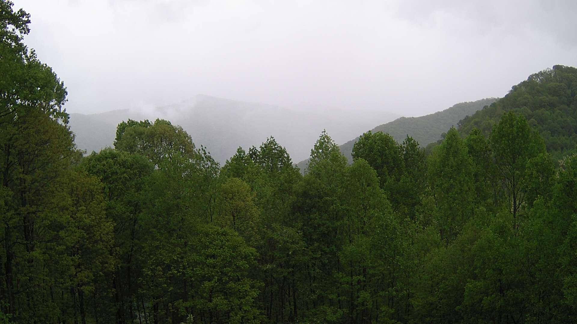 click for next image... slideshow image