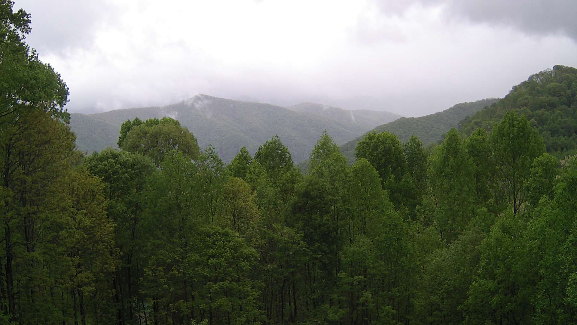 click for next image... slideshow image