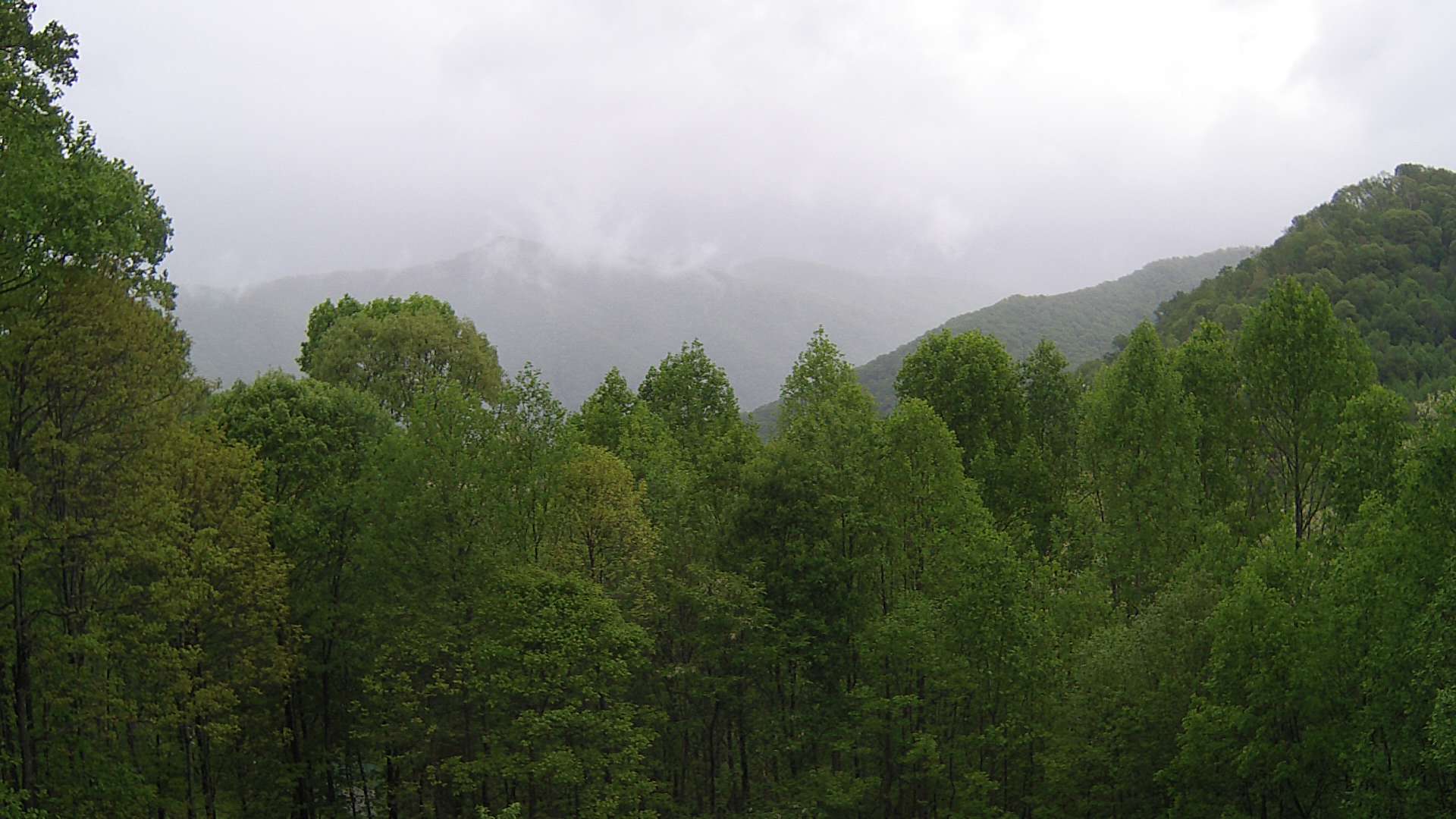 click for next image... slideshow image